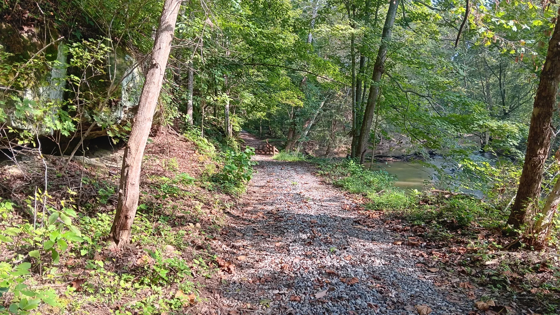 Wooded Retreat on Raccoon Creek property photo 31