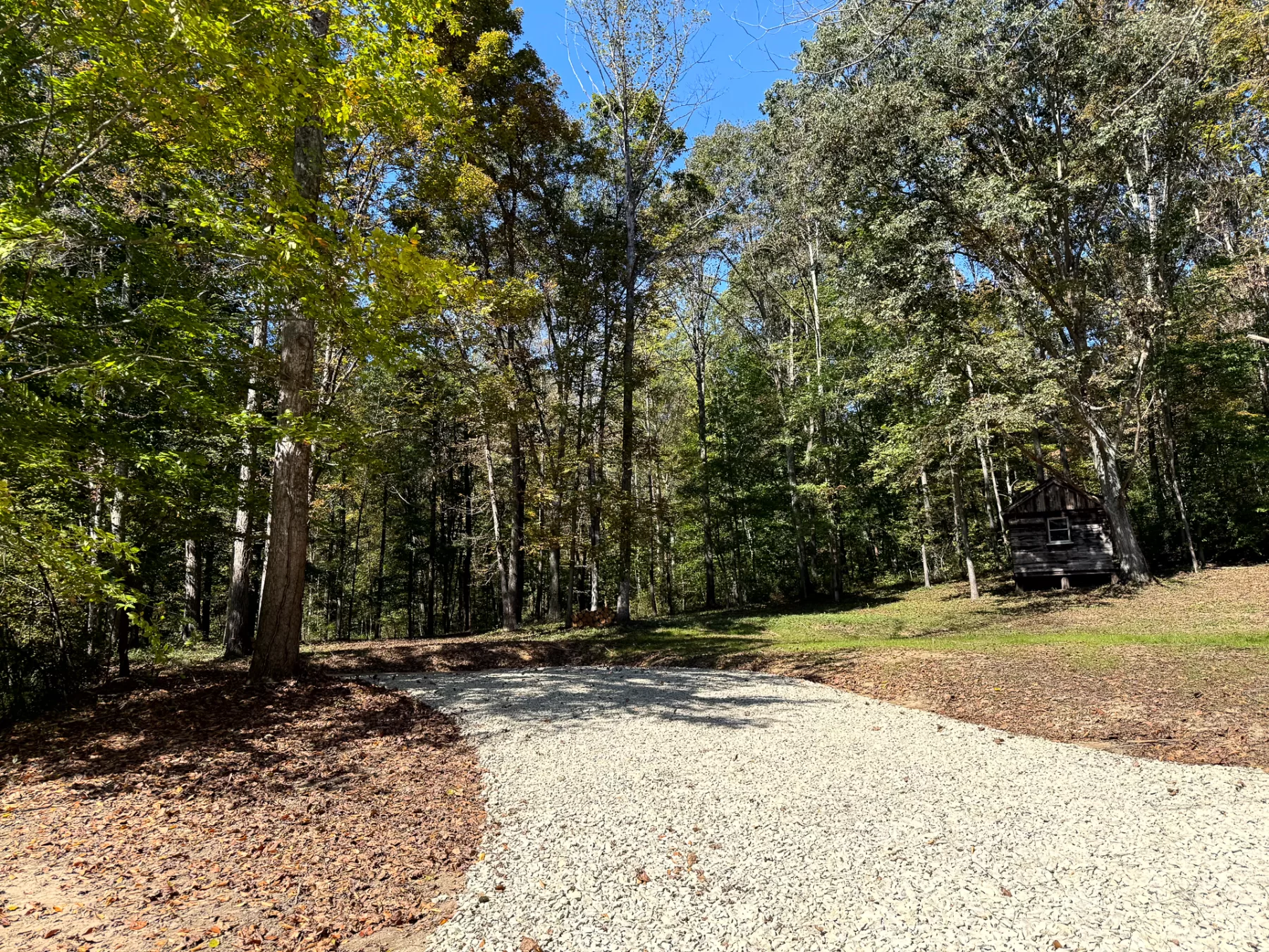 Woodlane on Wayne property photo 17