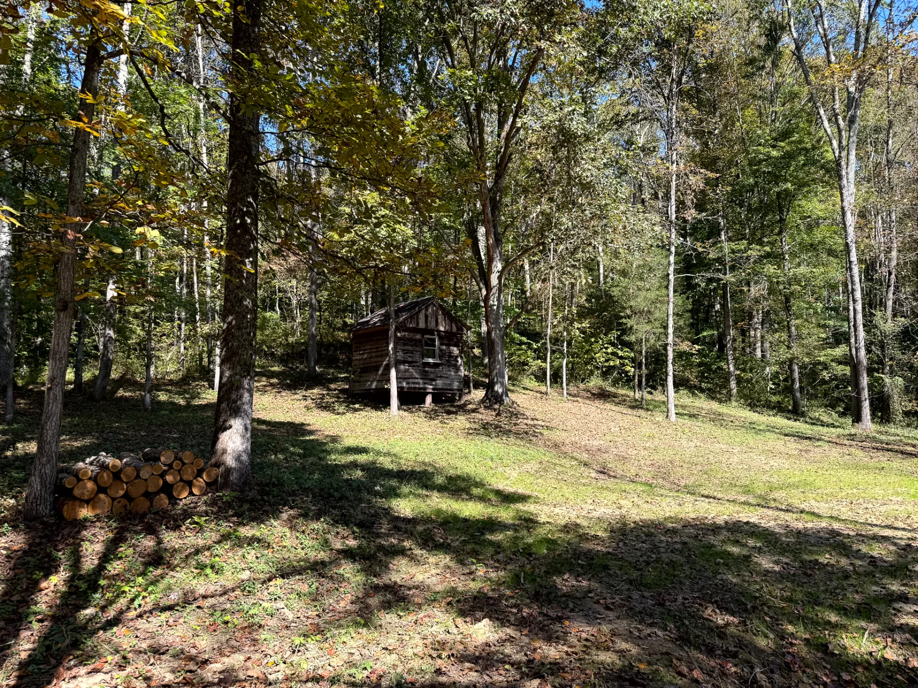Woodlane on Wayne property photo 19