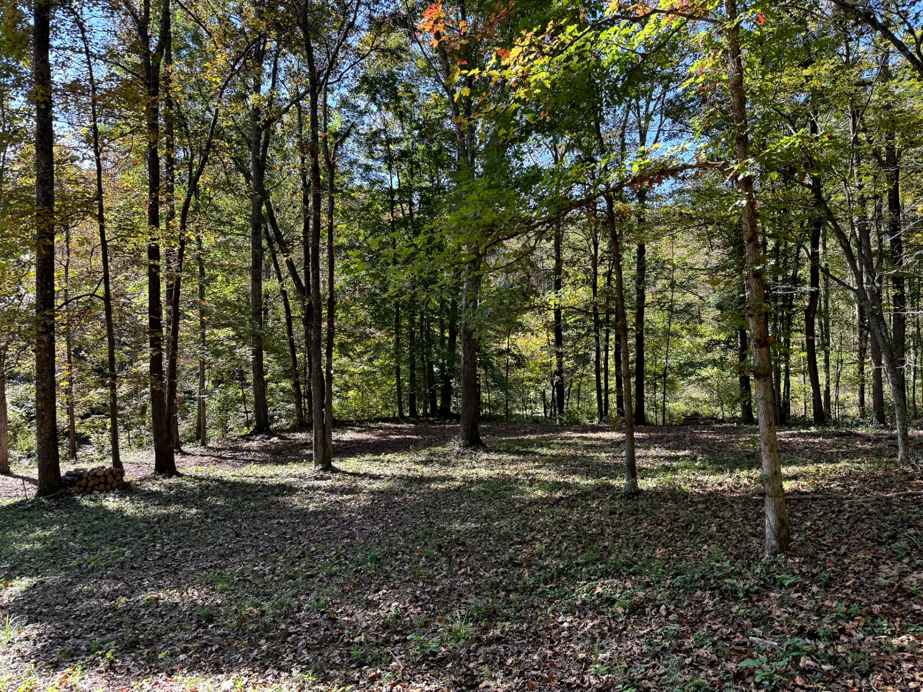 Woodlane on Wayne property photo 20