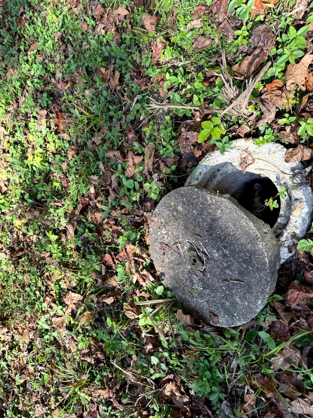 Woodlane on Wayne property photo 21
