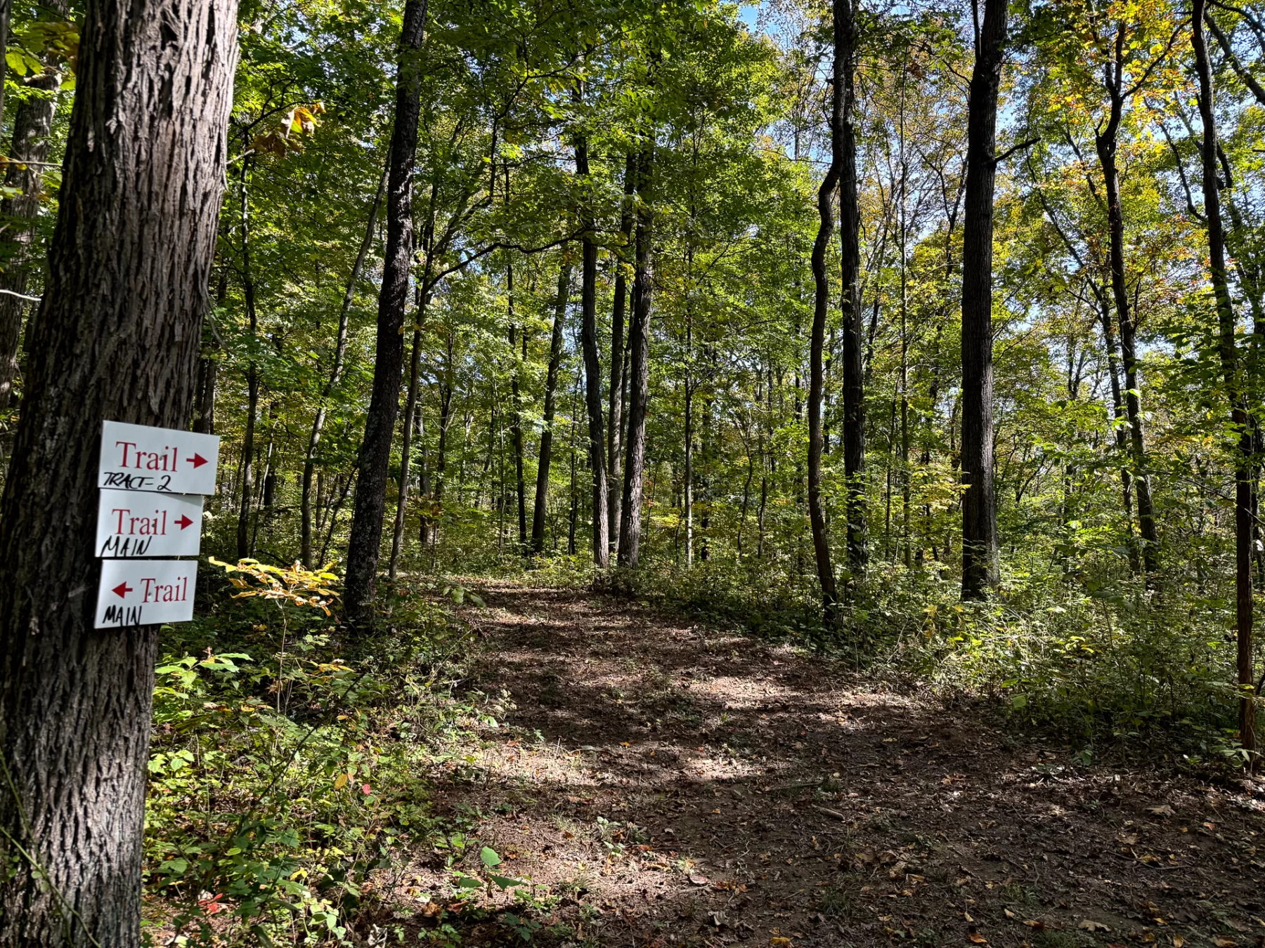 Woodlane on Wayne property photo 26