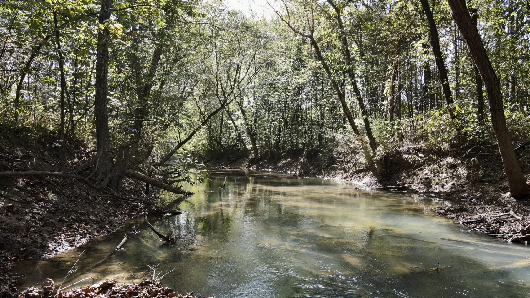 Woodlane on Wayne property photo 29