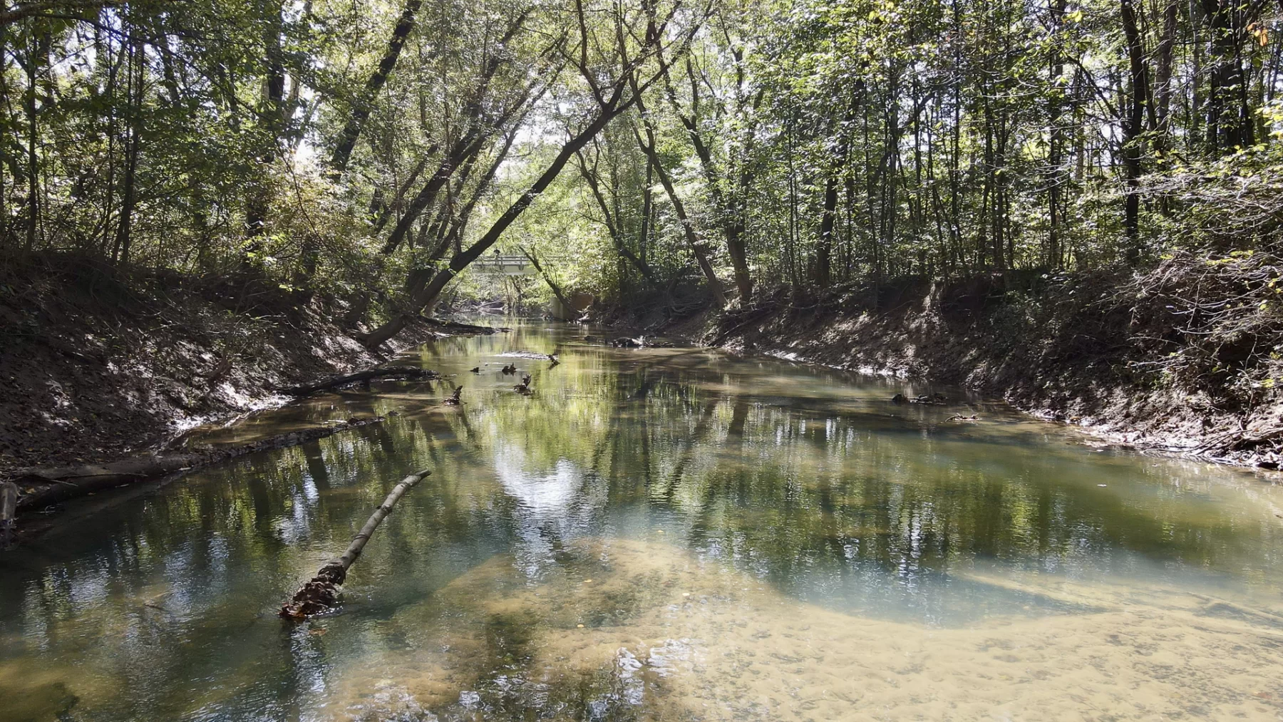 Woodlane on Wayne property photo 30