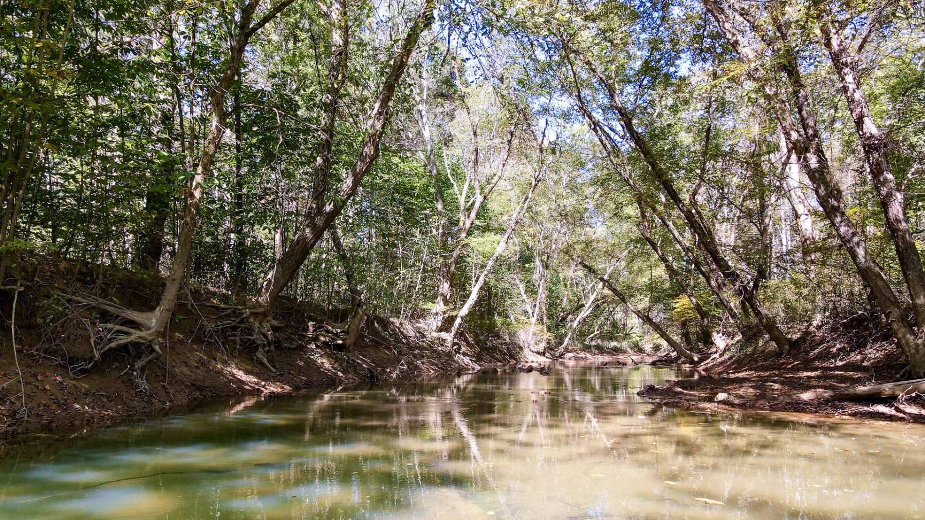 Woodlane on Wayne property photo 32