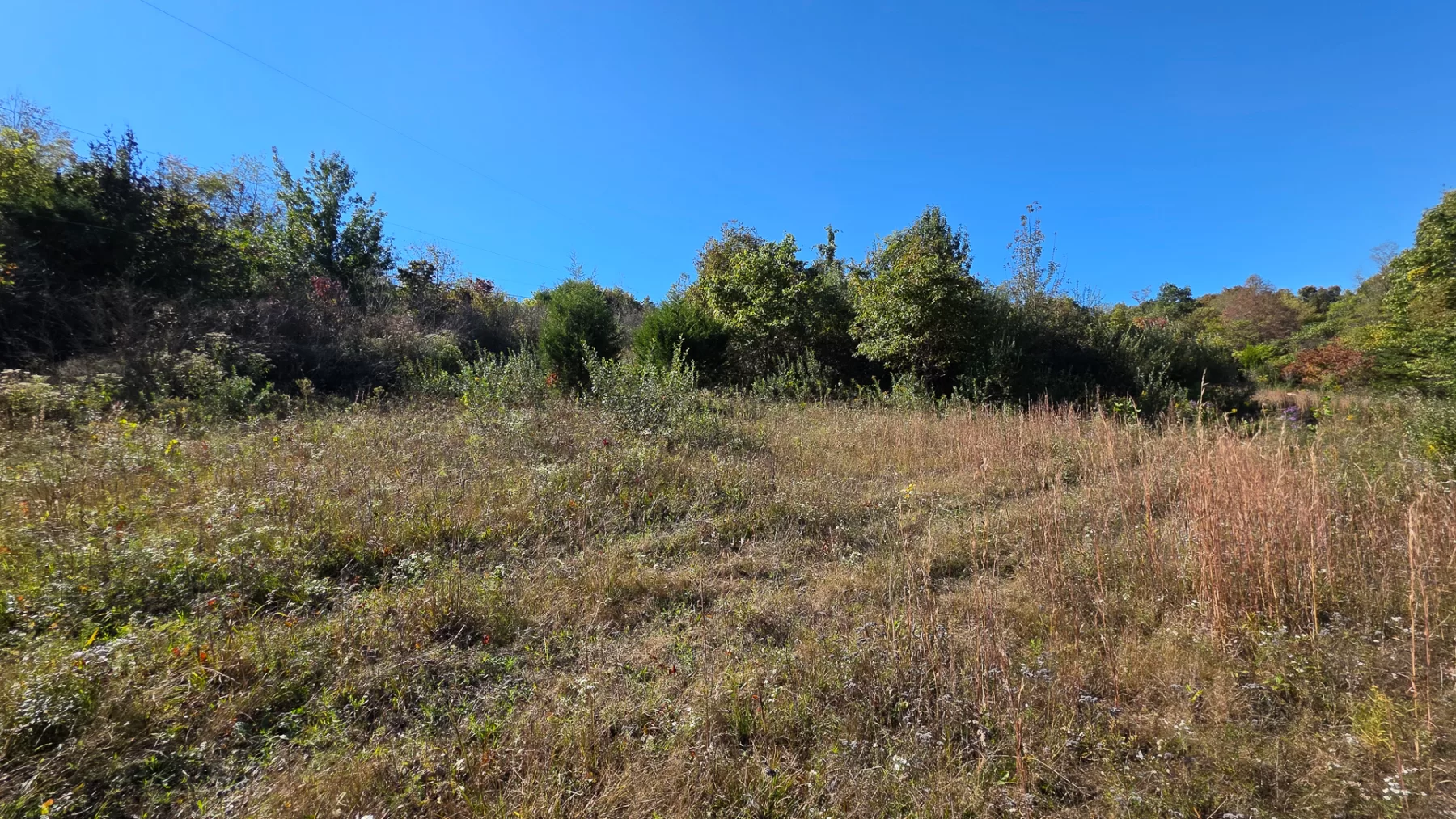 Keiser Woods – Tract 1 property photo 6