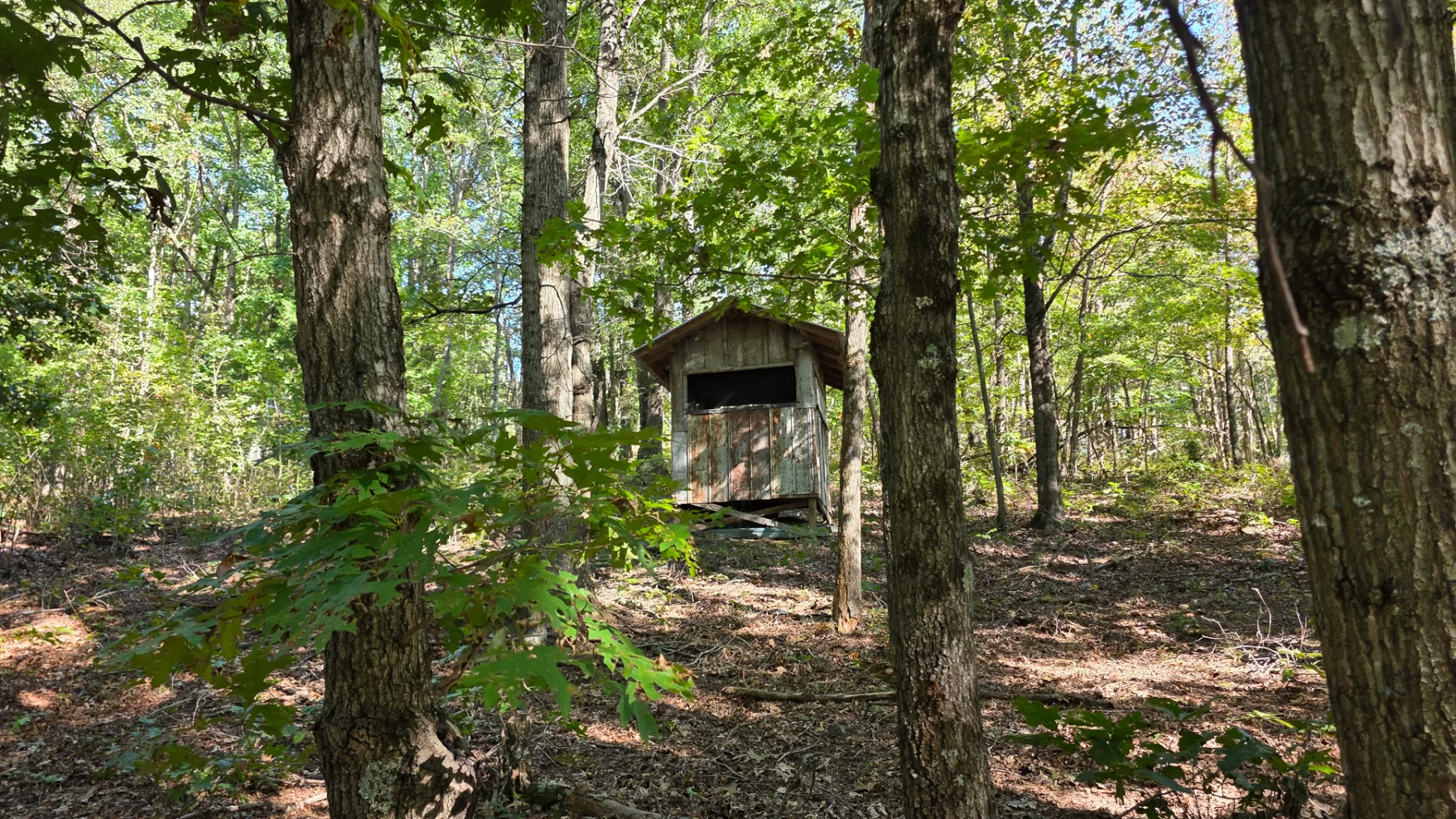 Keiser Woods – Tract 1 property photo 11