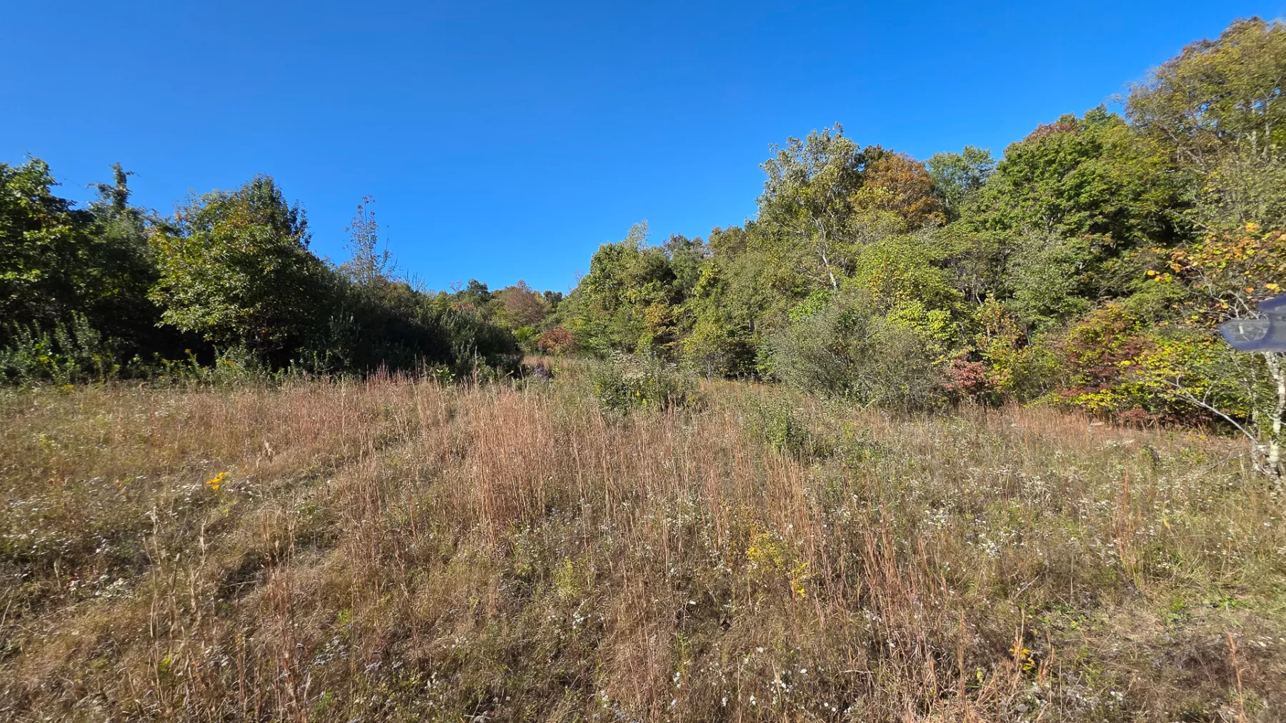 Keiser Woods – Tract 1 property photo 28