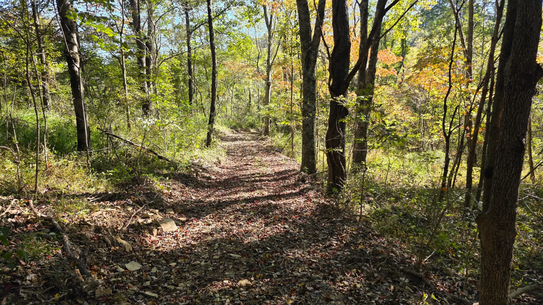 Keiser Woods – Tract 1 property photo 31