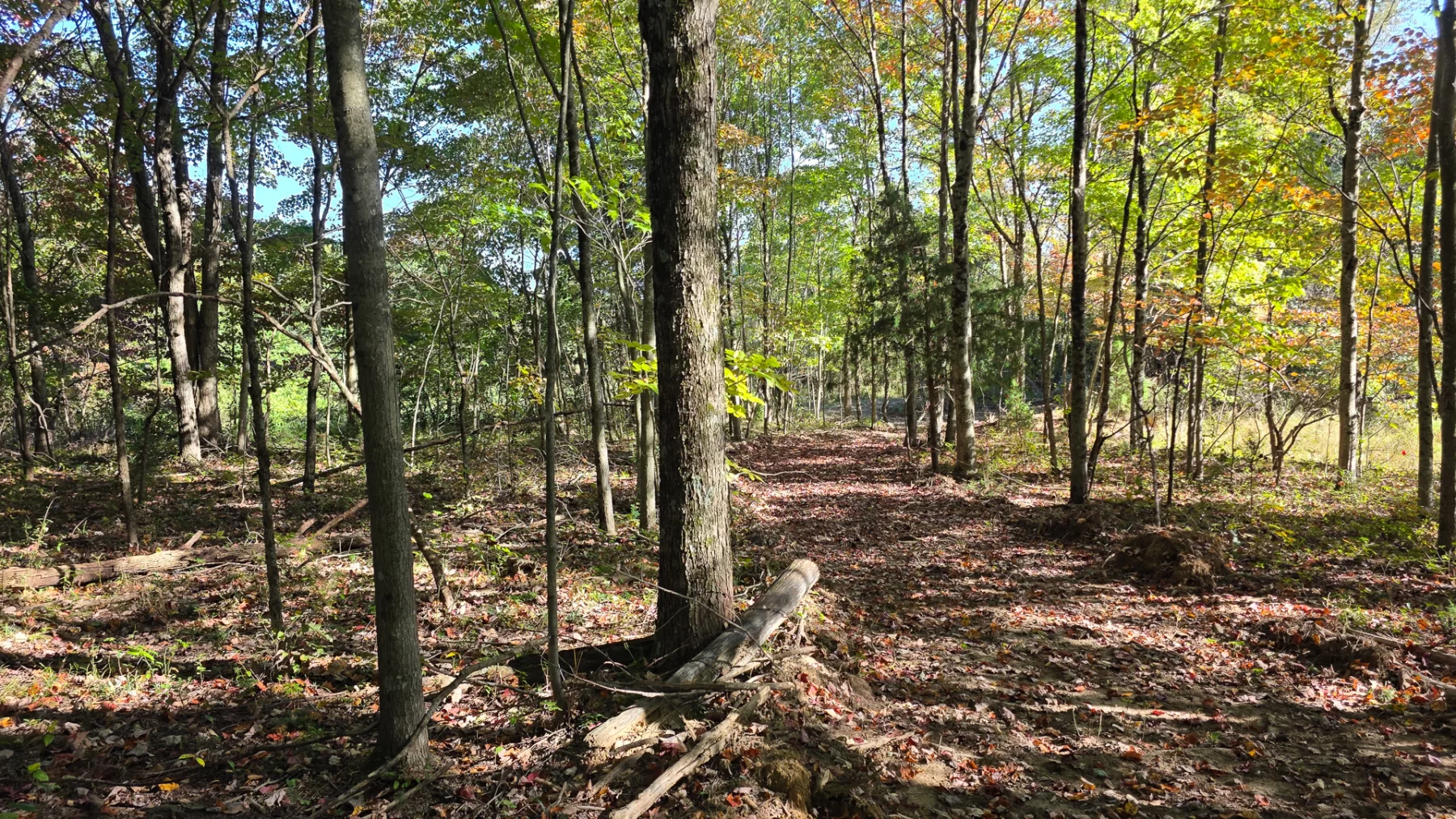 Keiser Woods – Tract 3 property photo 3