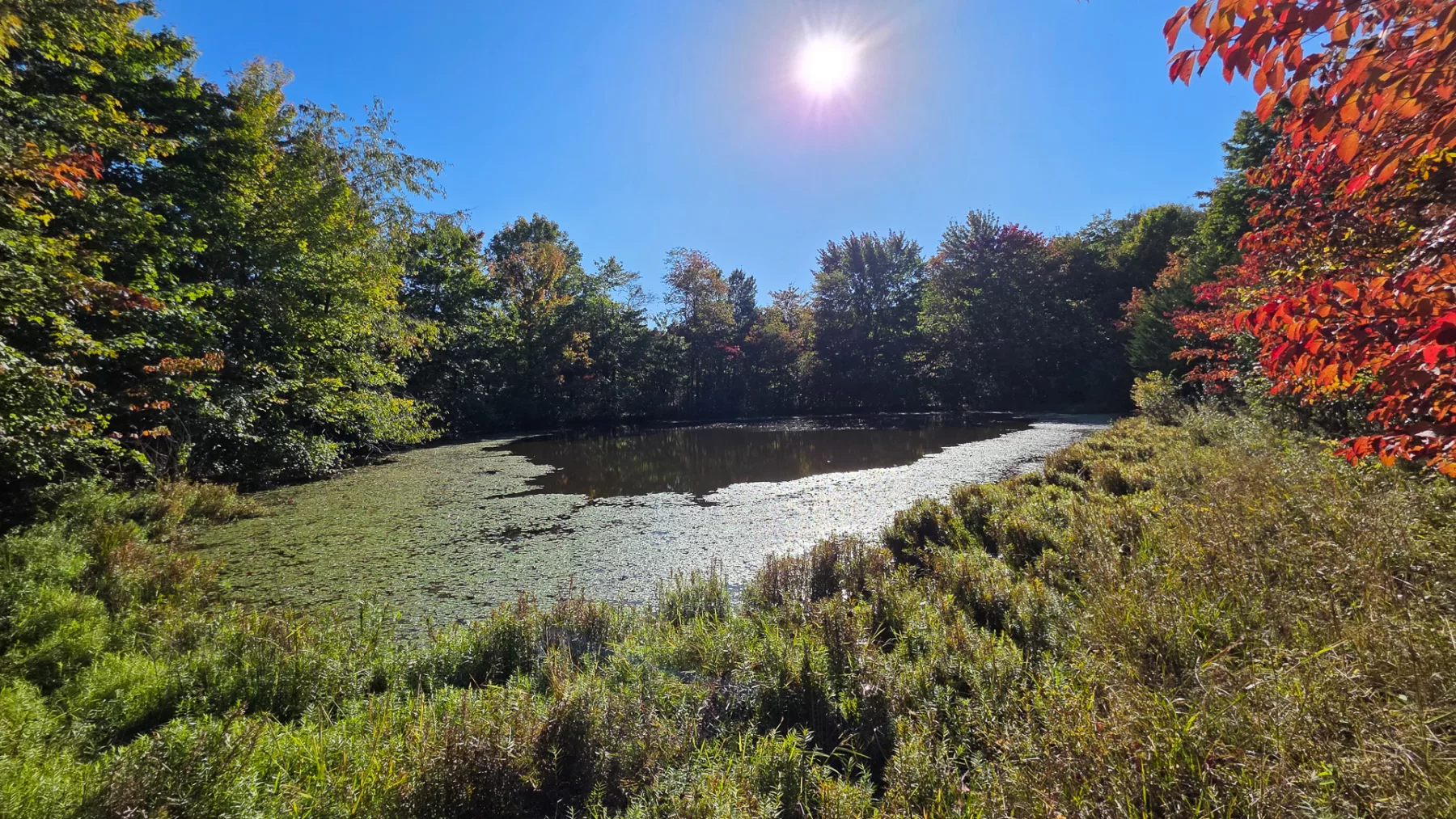 Keiser Woods – Tract 3 property photo 5