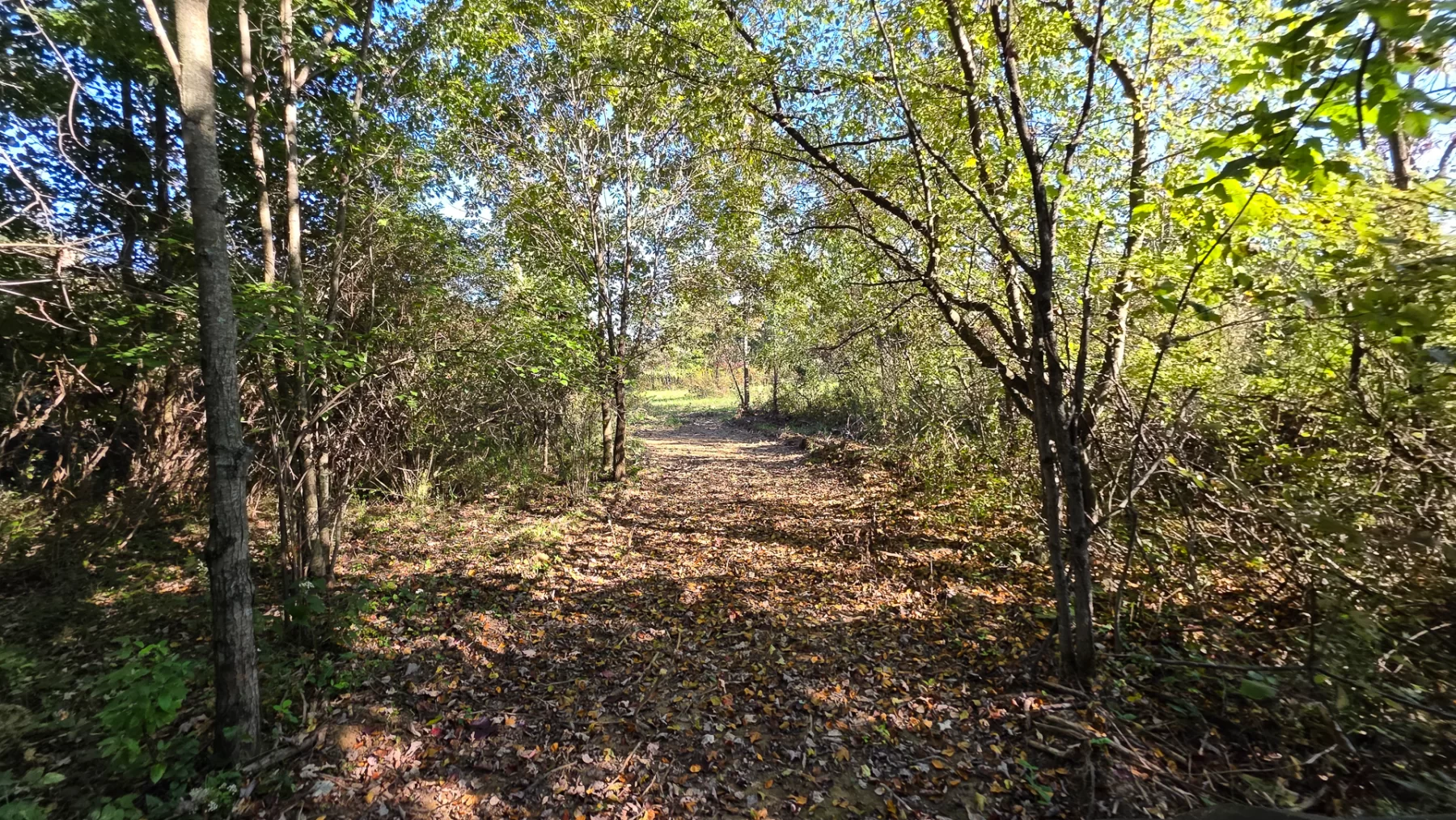 Keiser Woods – Tract 3 property photo 30
