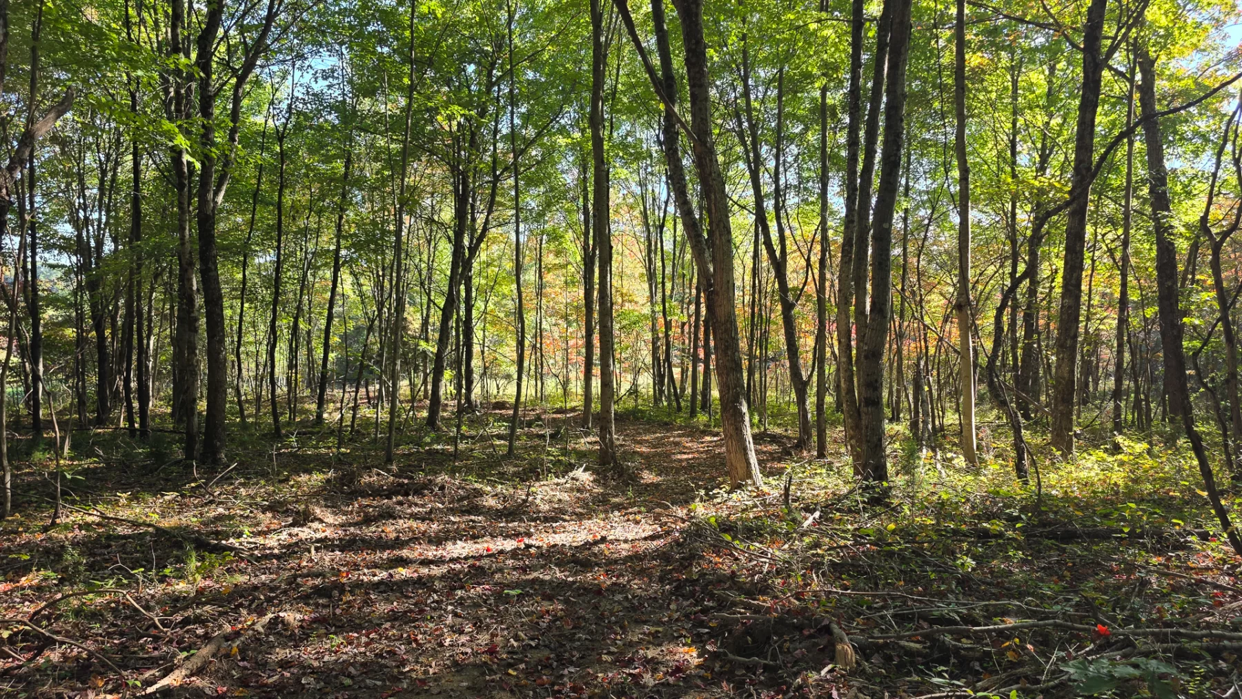 Keiser Woods – Tract 3 property photo 31