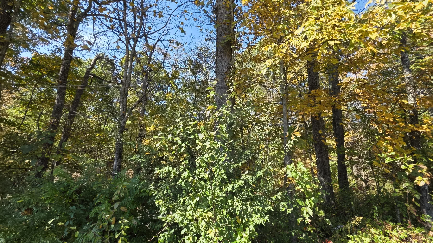 Lot 3 at Scenic Hills property photo 11