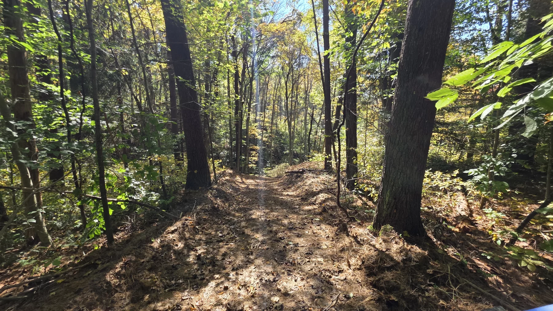 Lot 6 at Scenic Hills property photo 8