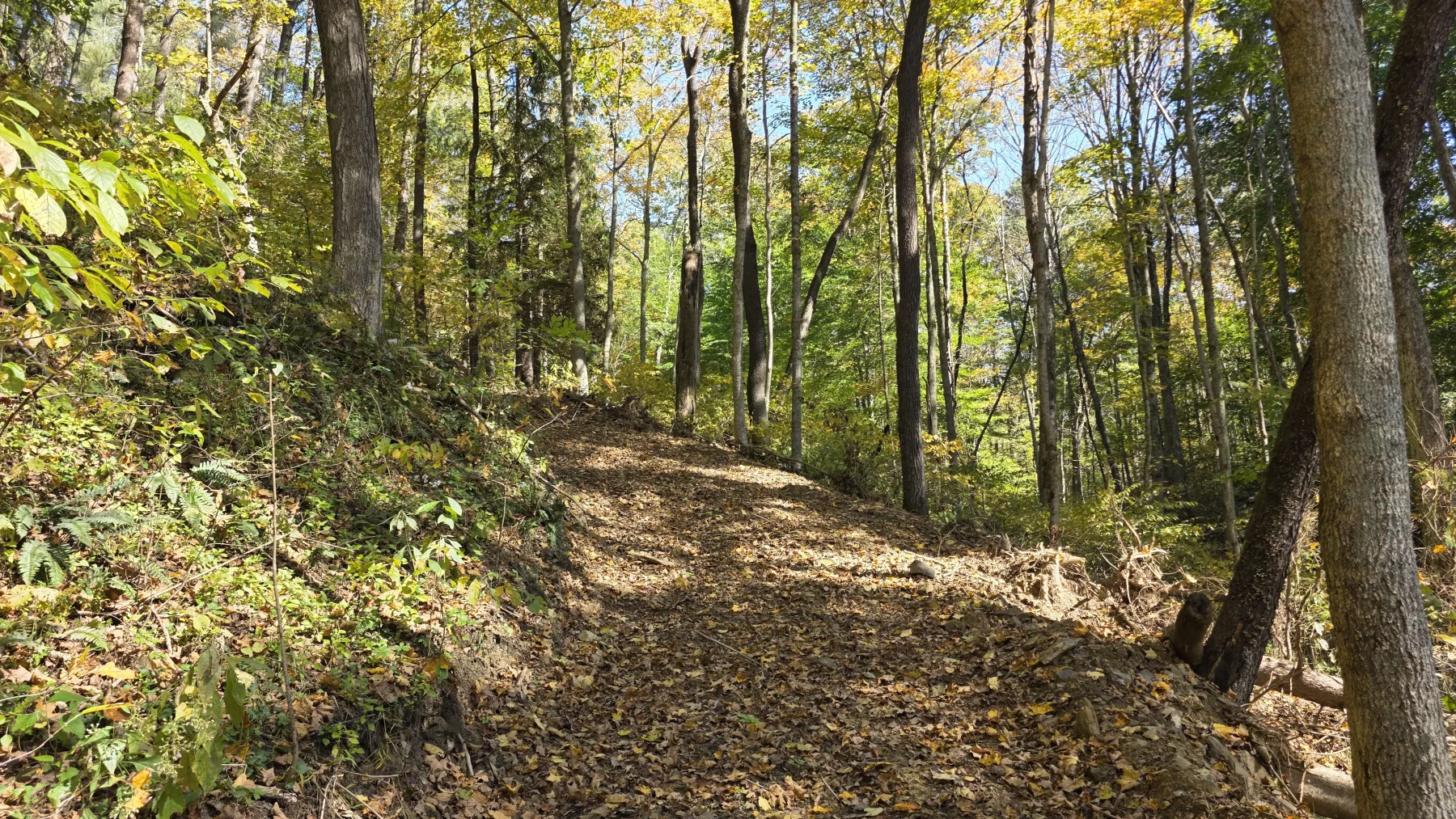 Lot 6 at Scenic Hills property photo 9
