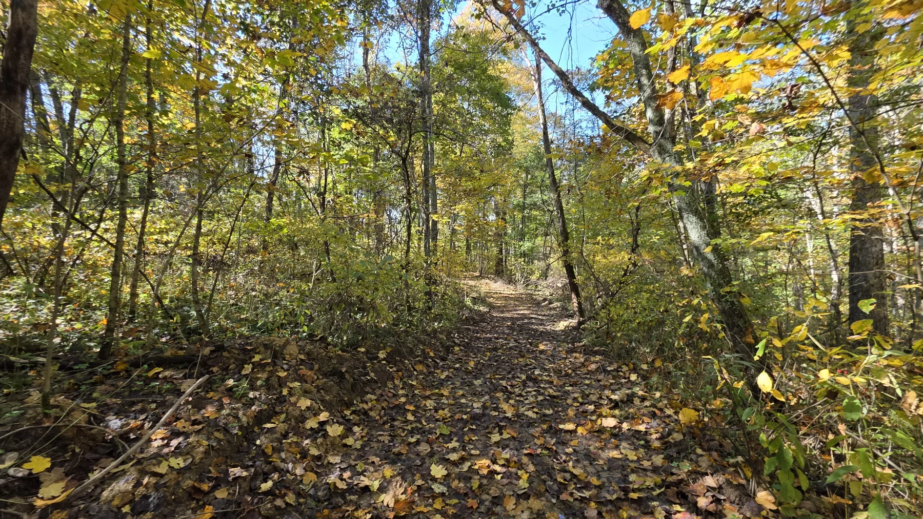 Lot 6 at Scenic Hills property photo 12
