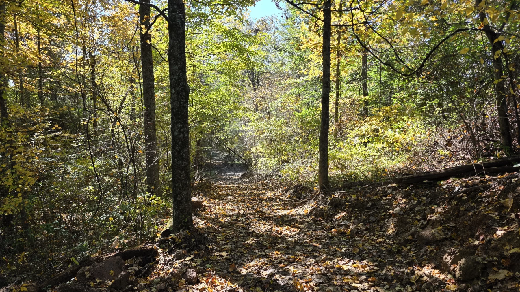 Lot 6 at Scenic Hills property photo 19