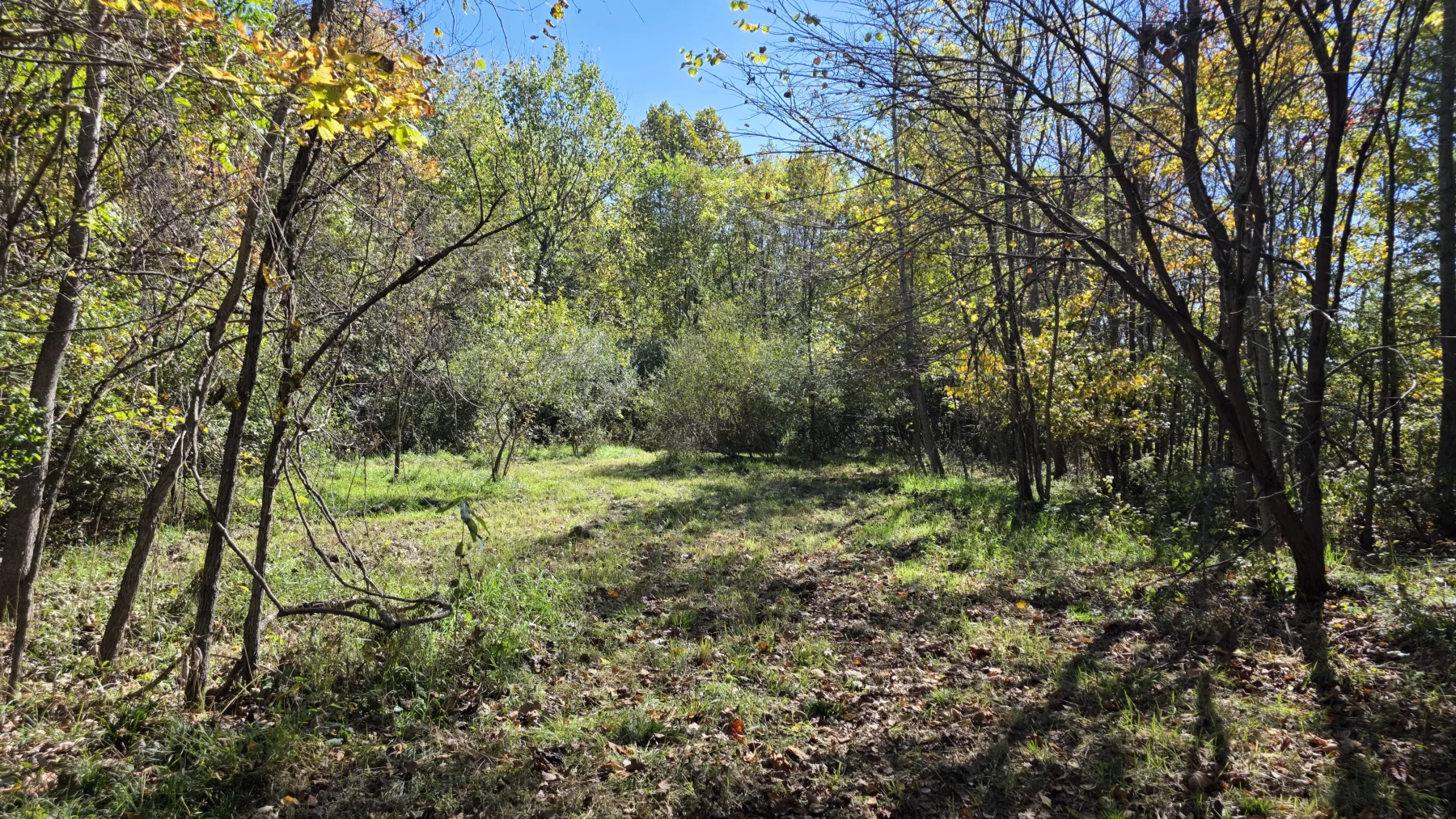 Lot 1 at Clover Hill property photo 1