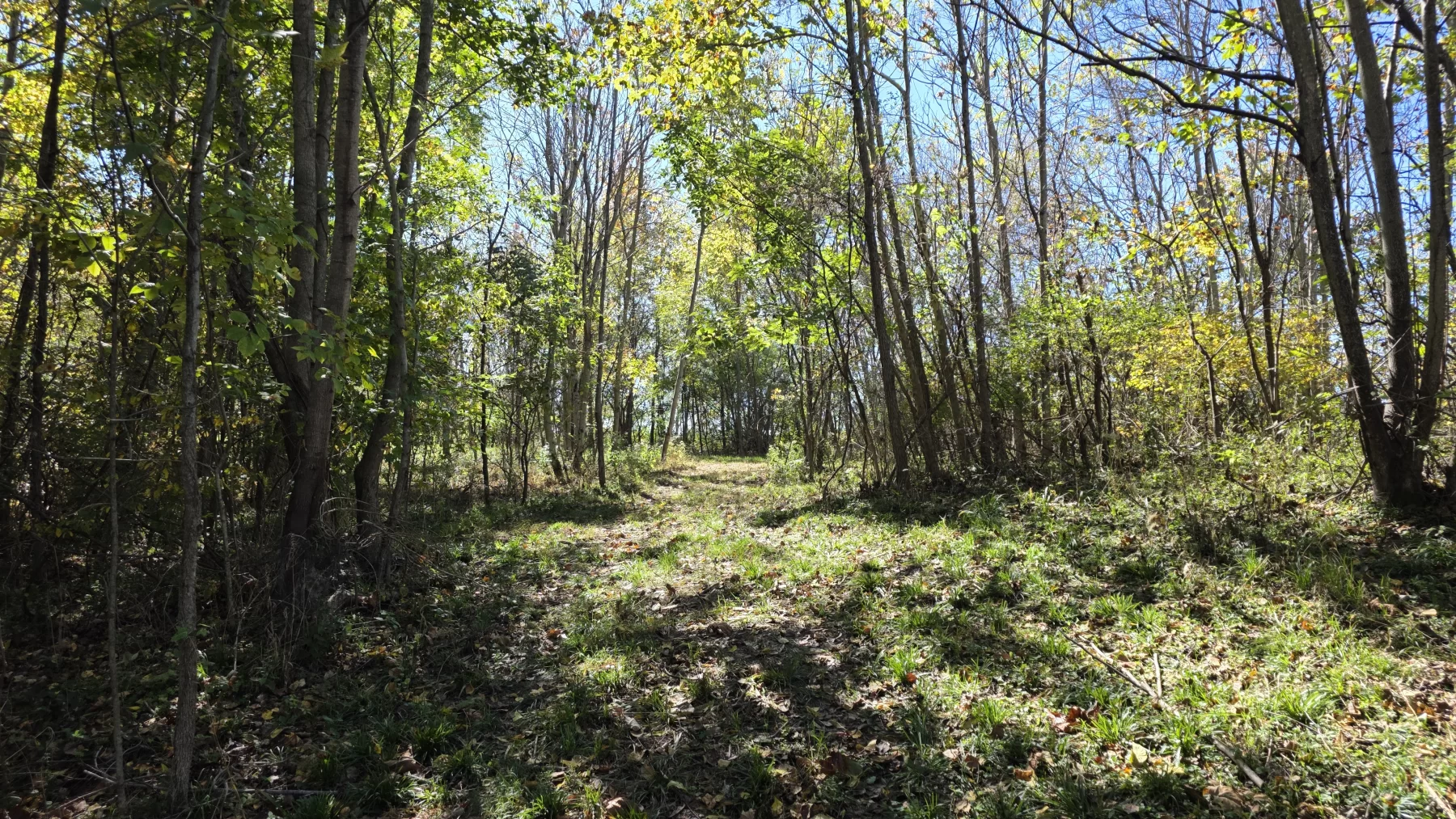 Lot 1 at Clover Hill property photo 2