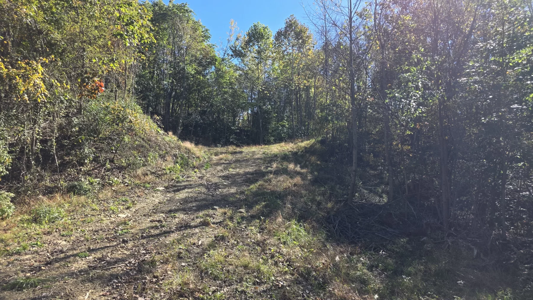 Lot 1 at Clover Hill property photo 6