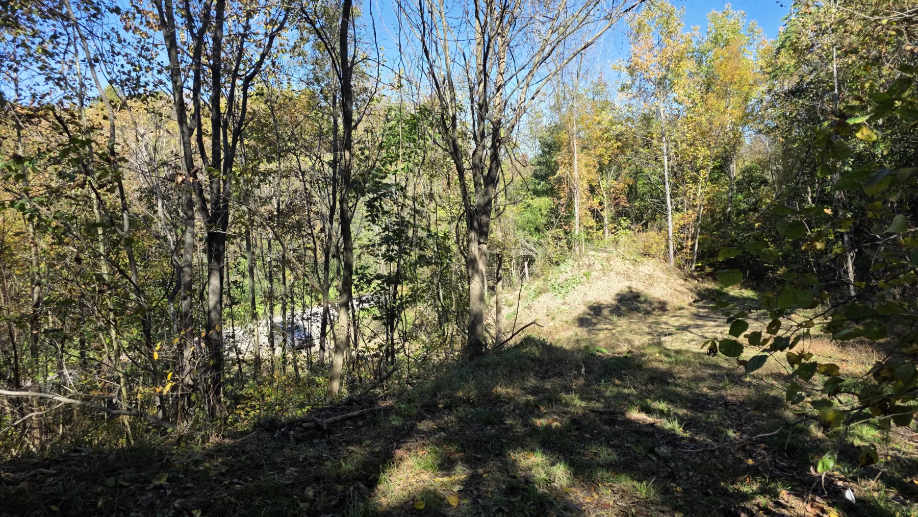 Lot 1 at Clover Hill property photo 7
