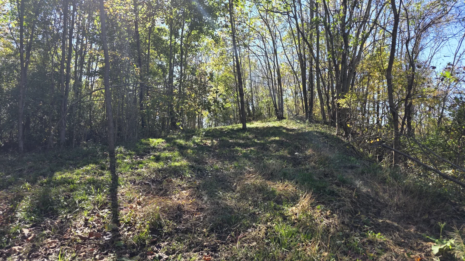 Lot 1 at Clover Hill property photo 8