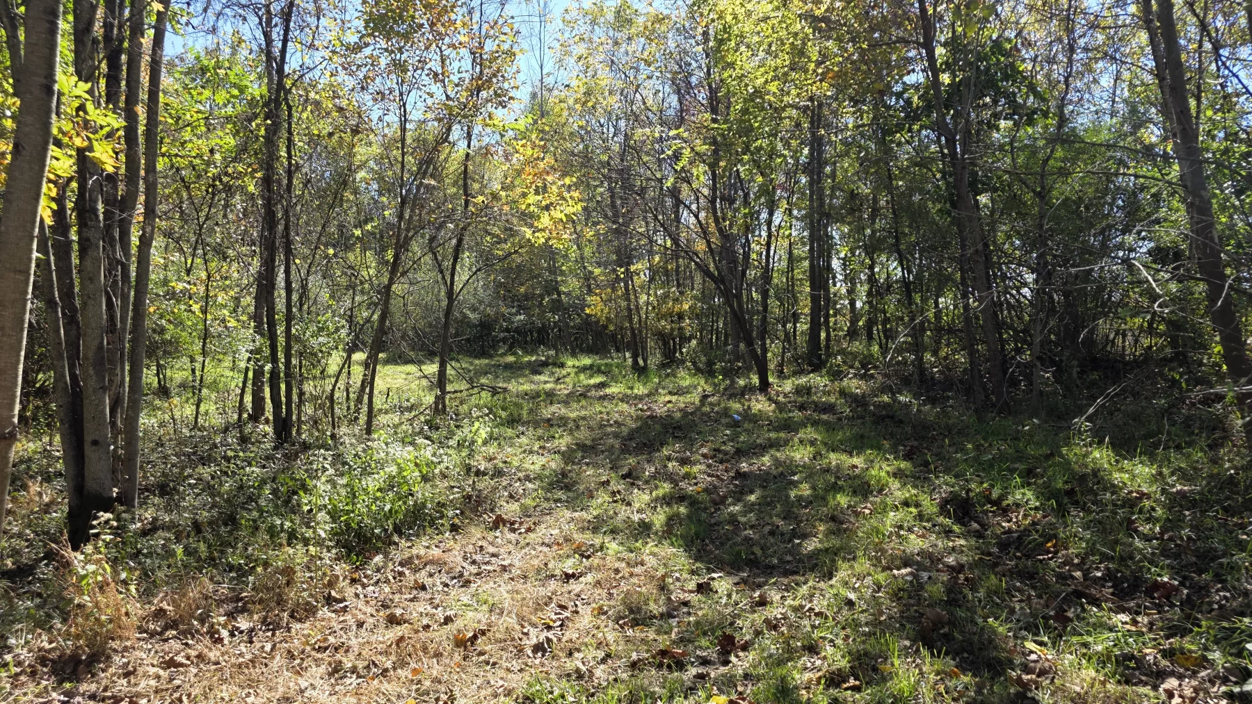 Lot 1 at Clover Hill property photo 9