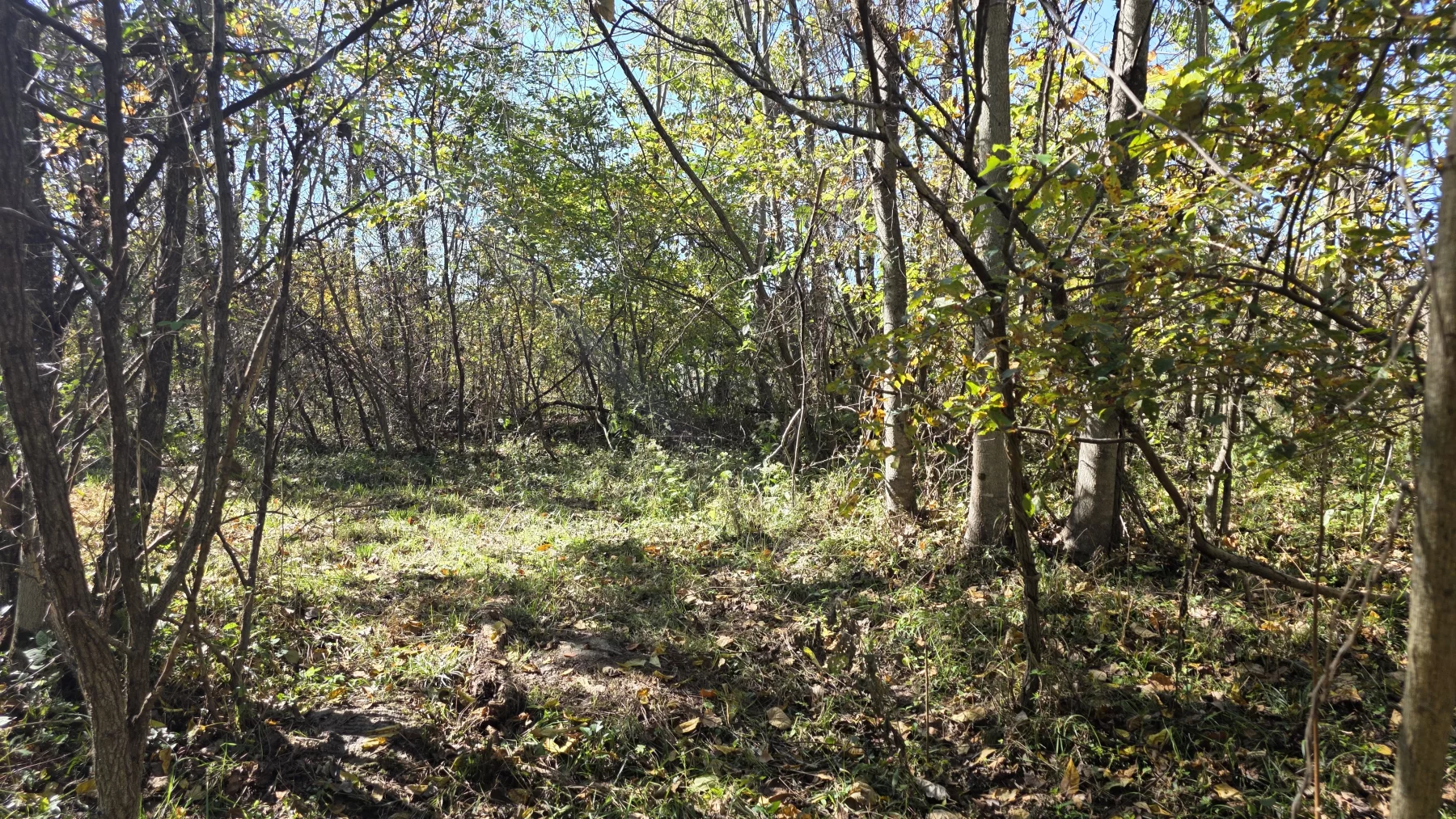Lot 1 at Clover Hill property photo 10
