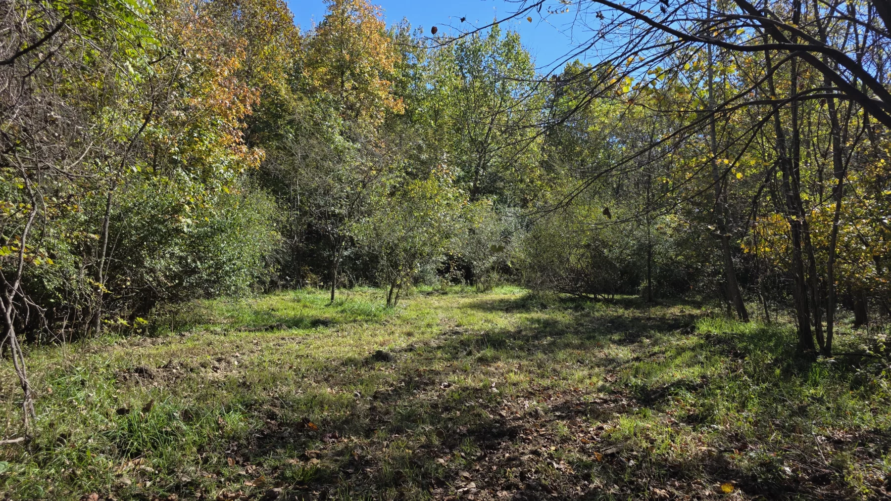 Lot 1 at Clover Hill property photo 11
