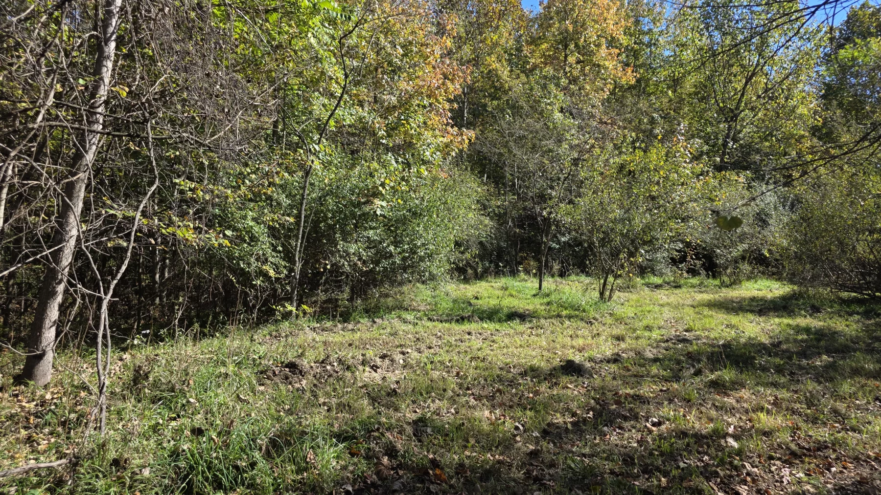 Lot 1 at Clover Hill property photo 12