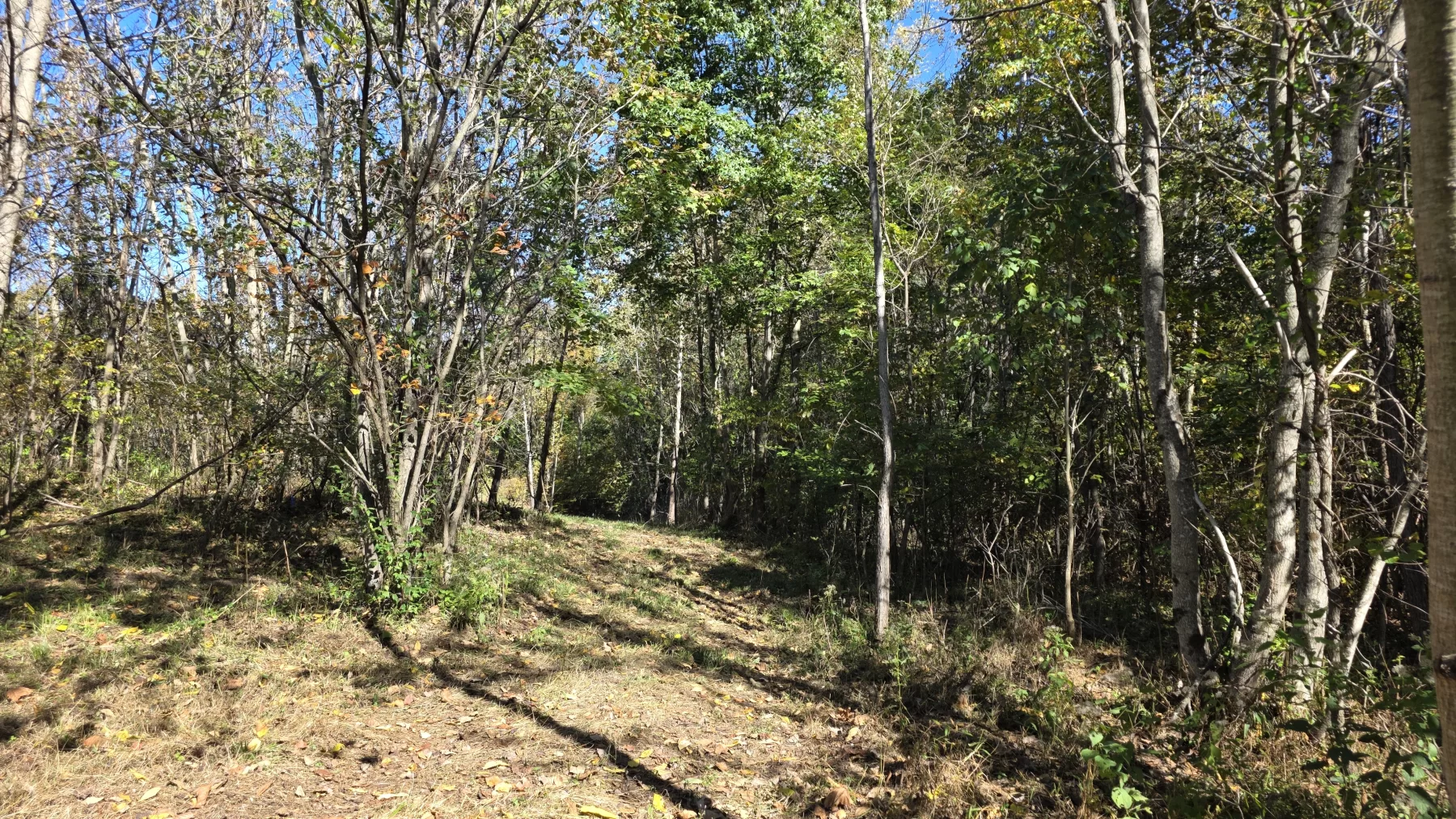 Lot 1 at Clover Hill property photo 13