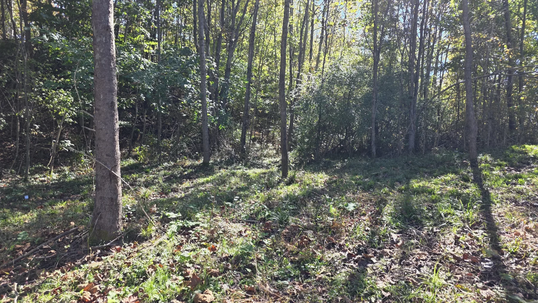 Lot 1 at Clover Hill property photo 15
