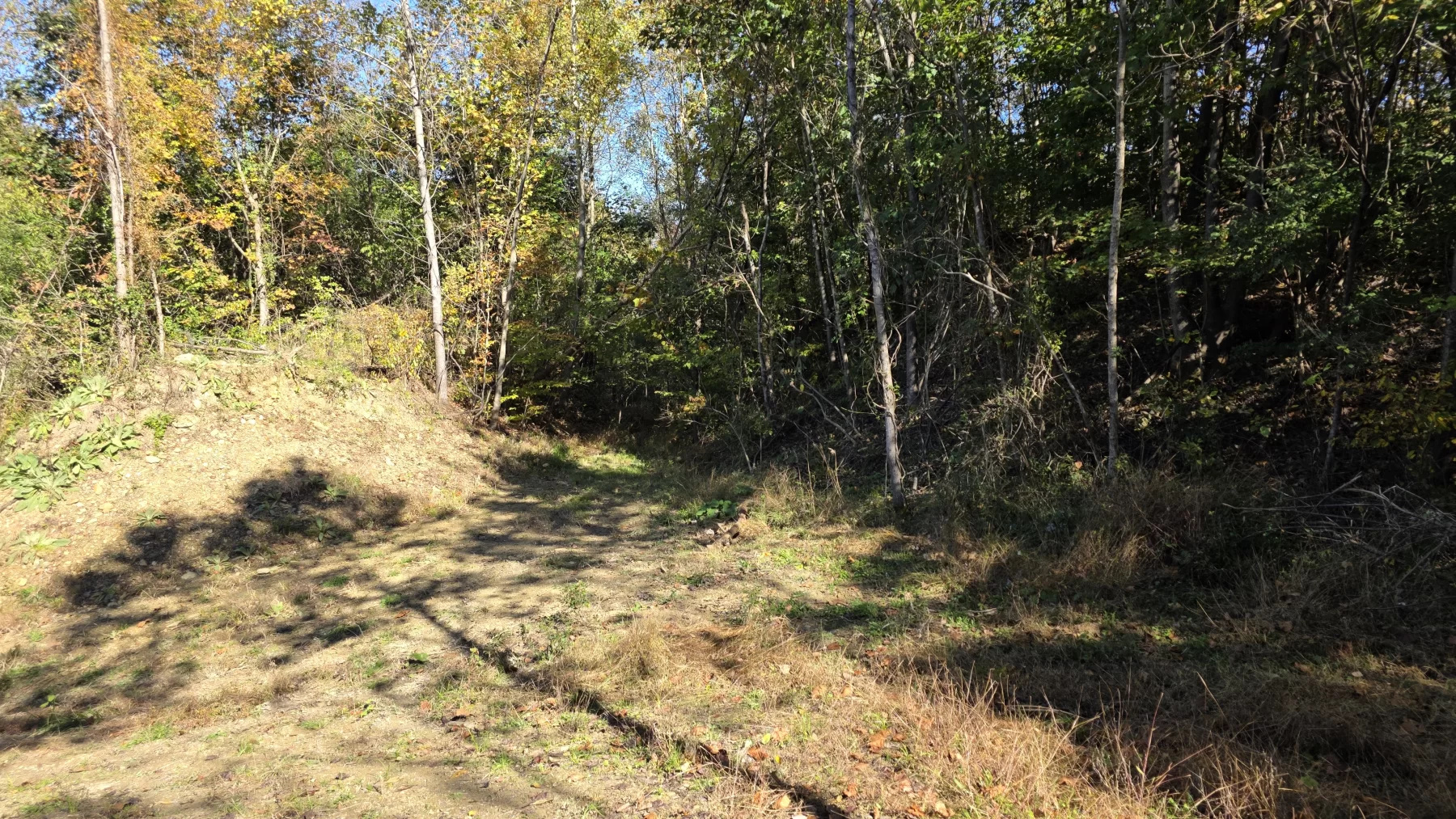 Lot 1 at Clover Hill property photo 16