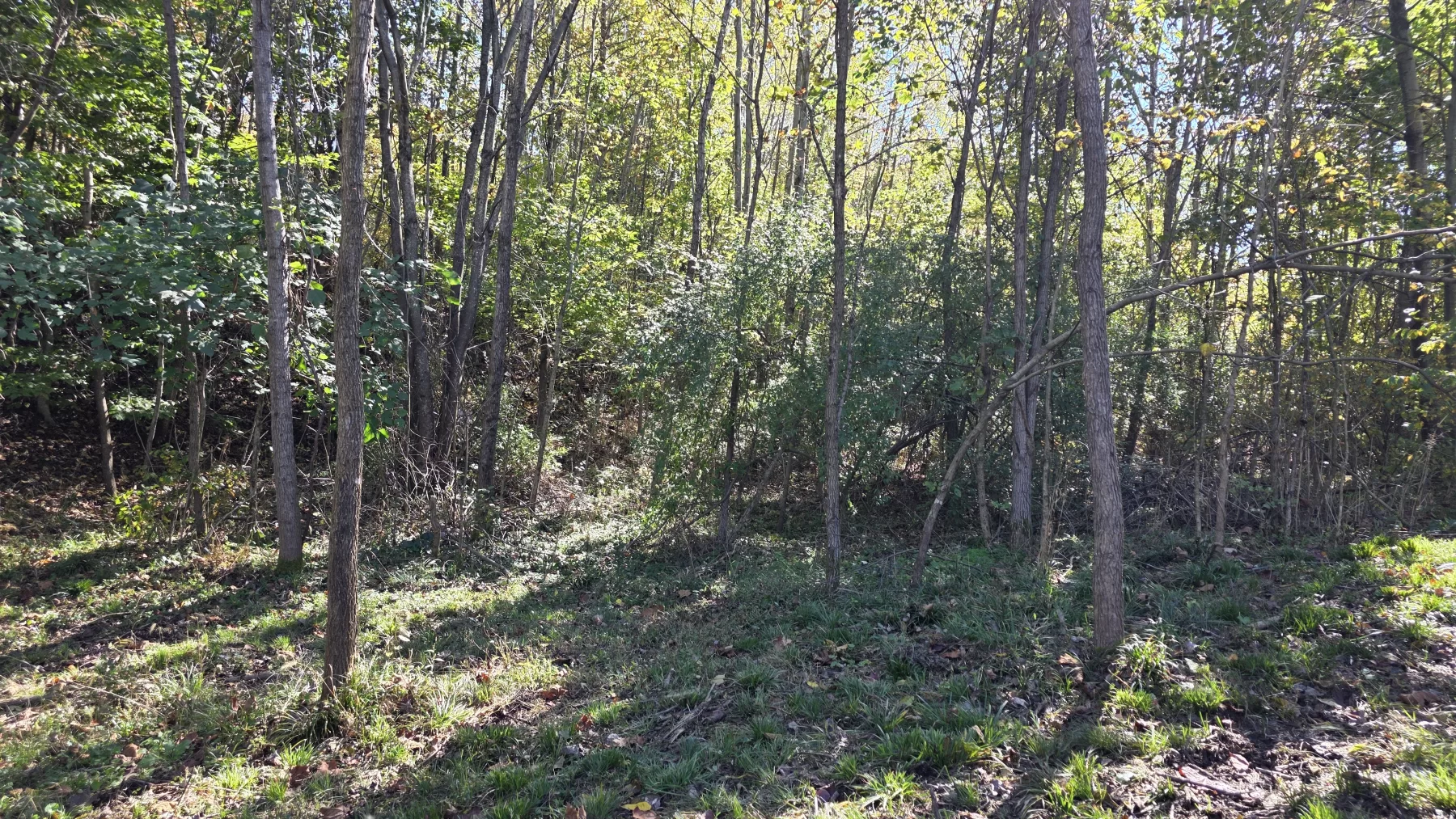 Lot 1 at Clover Hill property photo 17