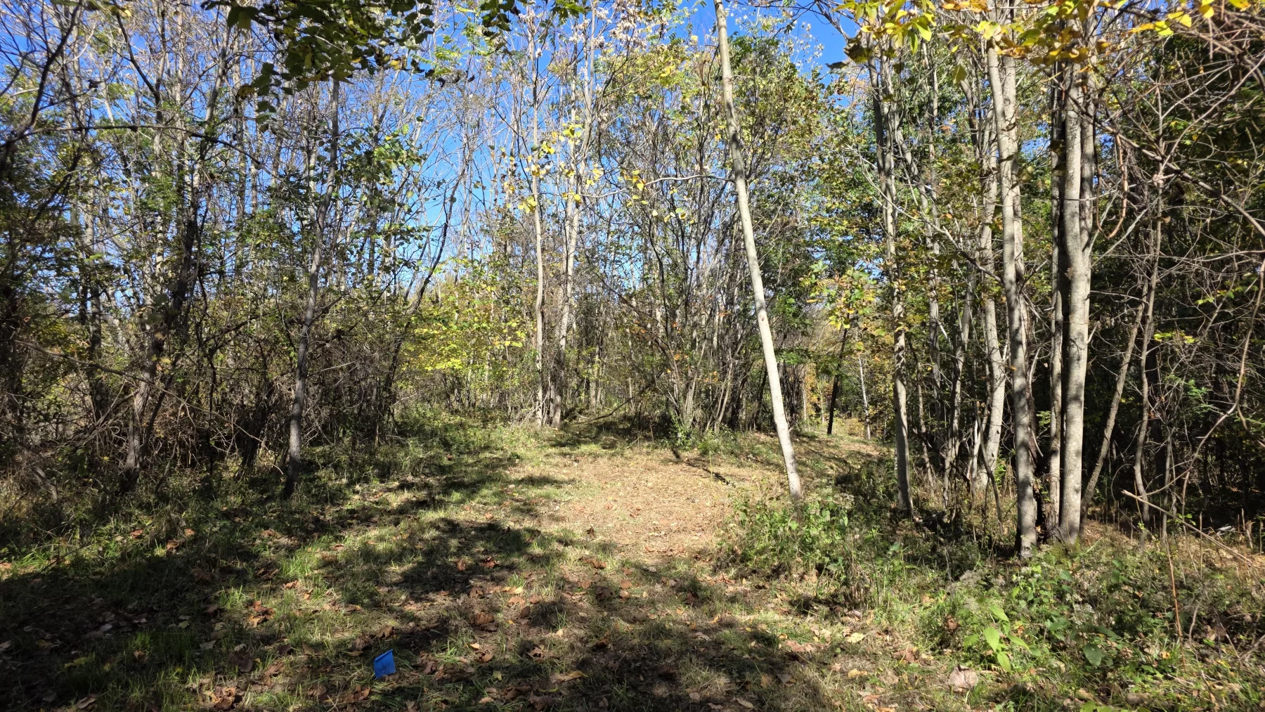 Lot 1 at Clover Hill property photo 19