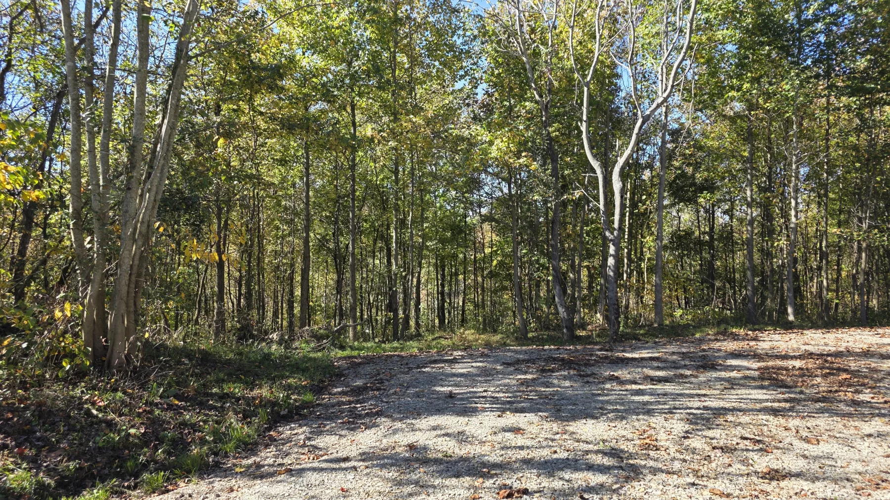 Lot 7 at Clover Hill property photo 3