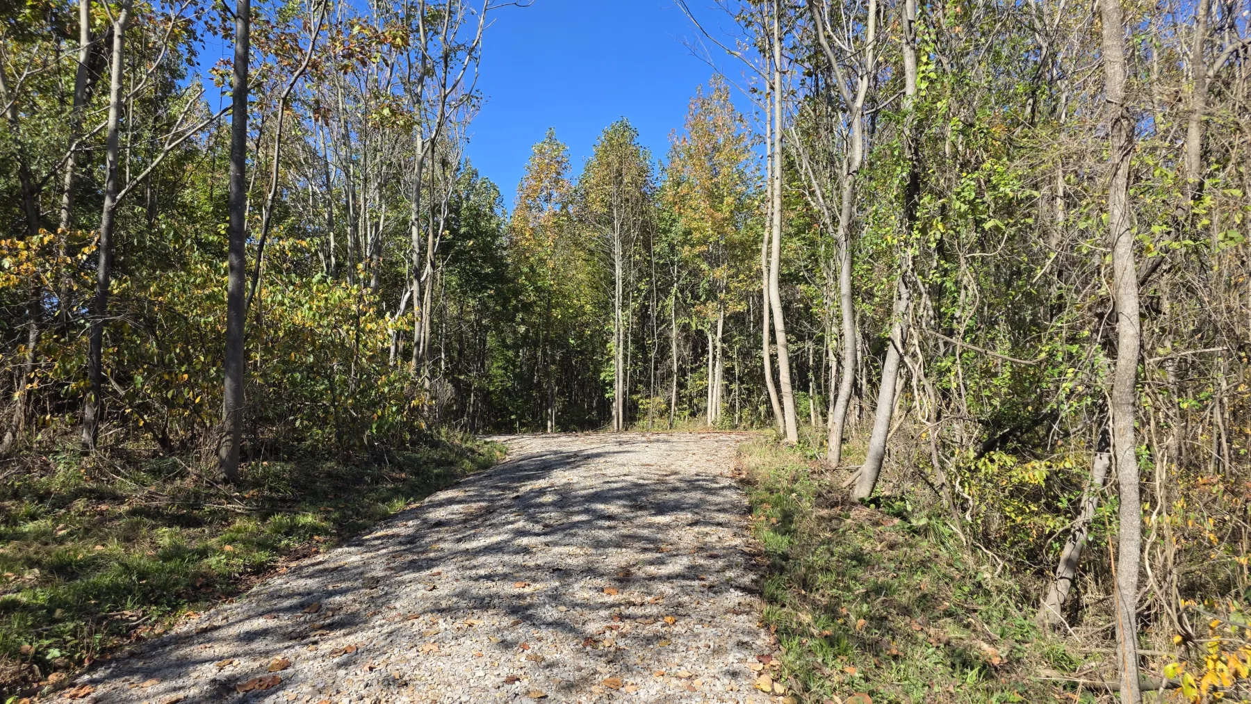 Lot 7 at Clover Hill property photo 4