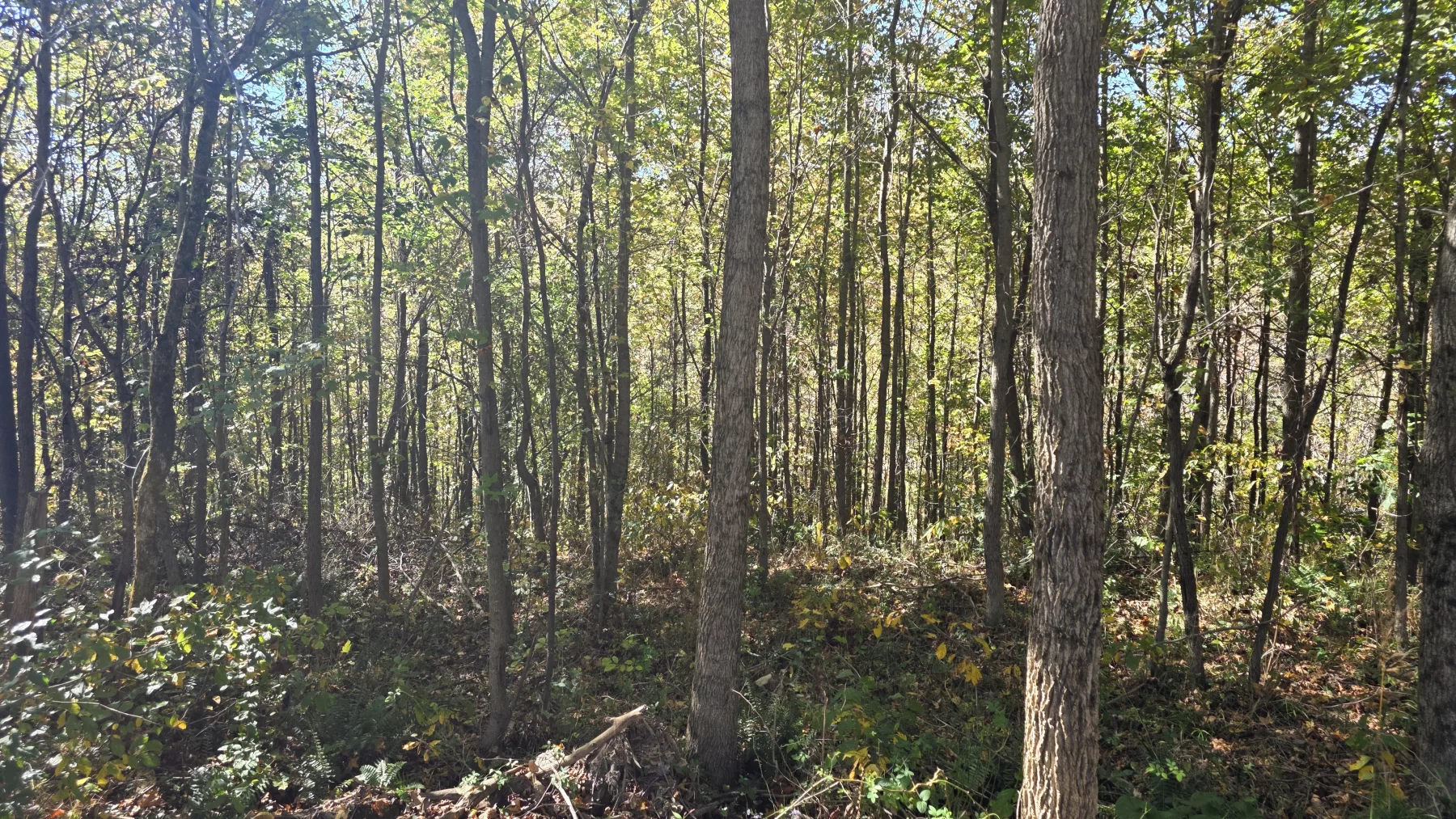Lot 7 at Clover Hill property photo 5