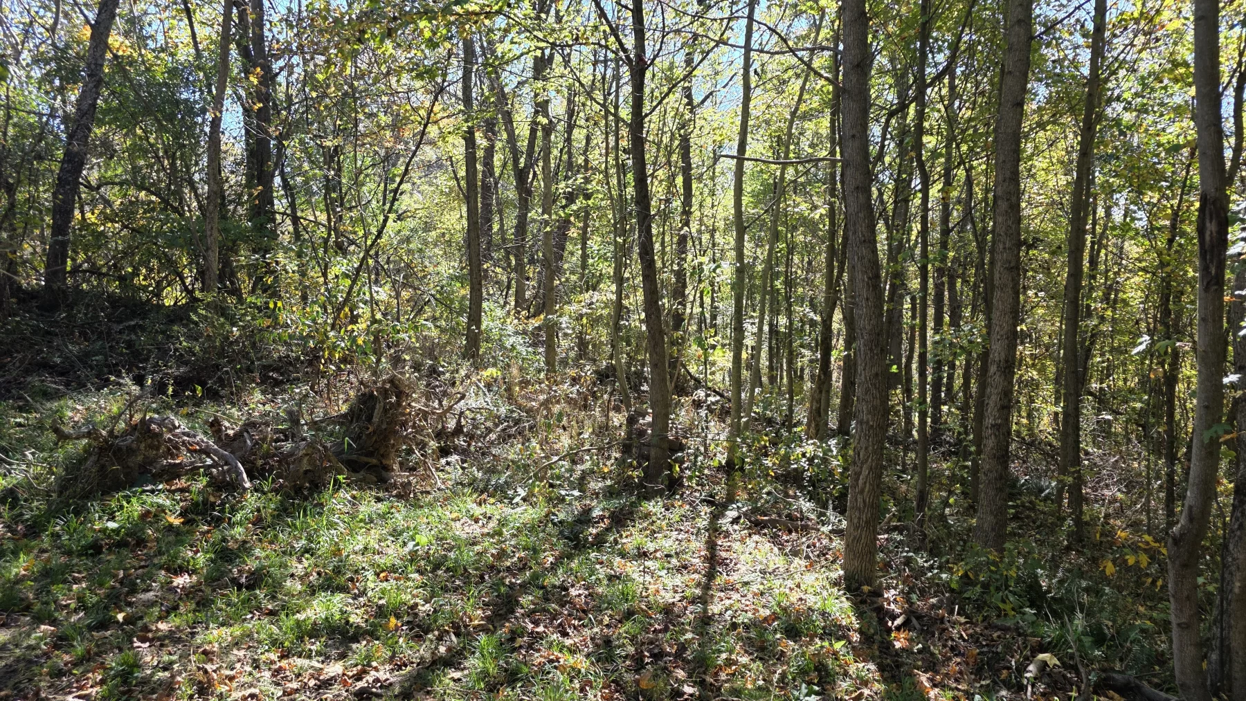 Lot 7 at Clover Hill property photo 6