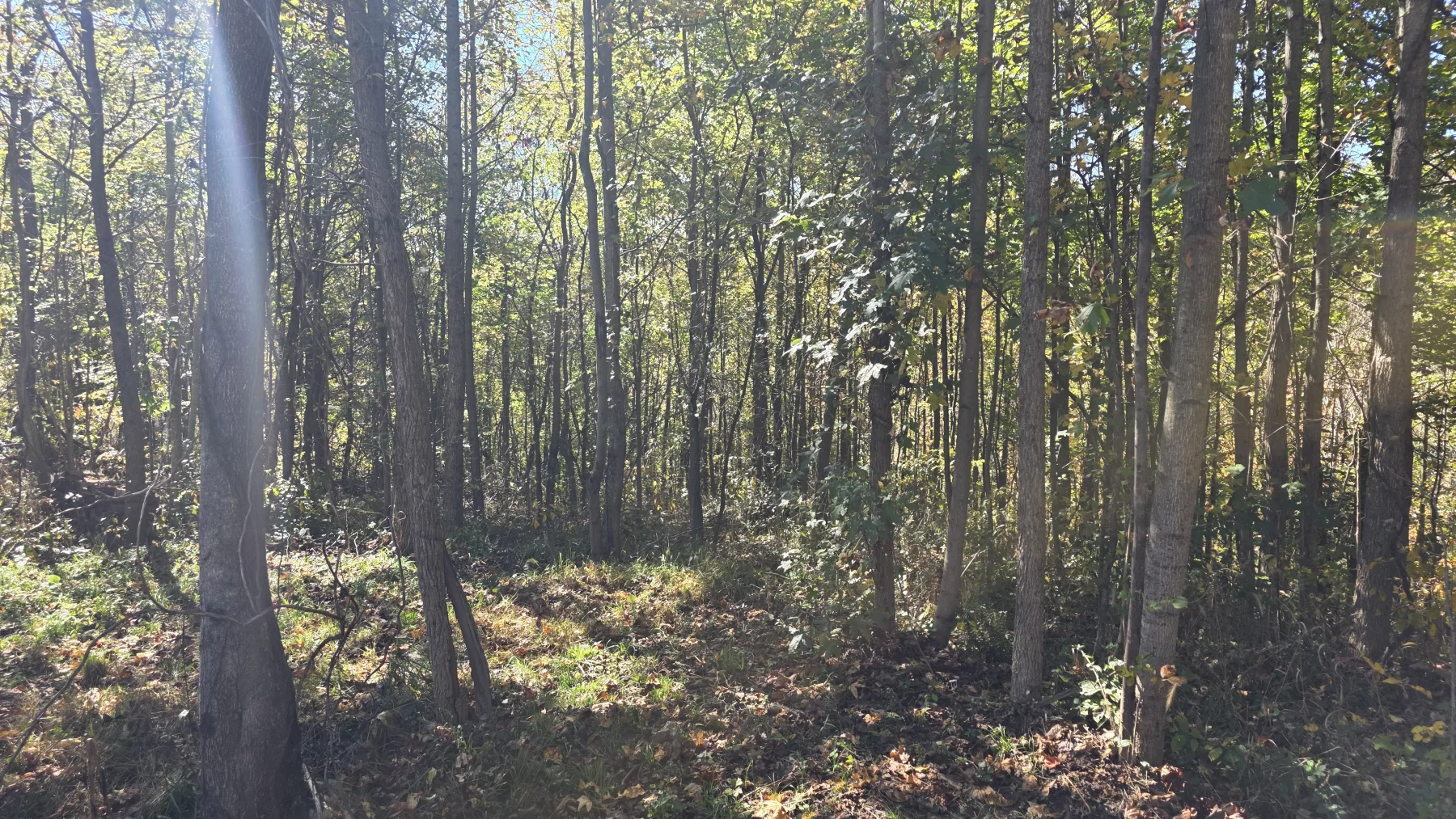 Lot 7 at Clover Hill property photo 7