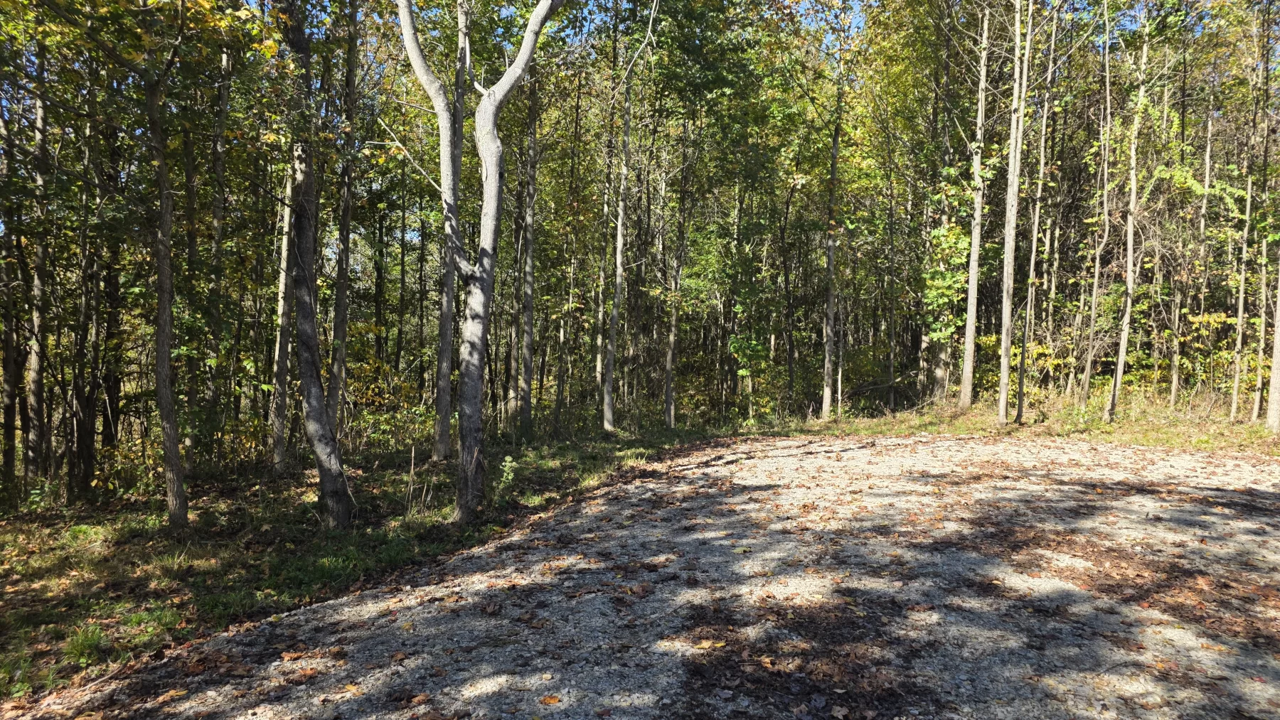 Lot 7 at Clover Hill property photo 8