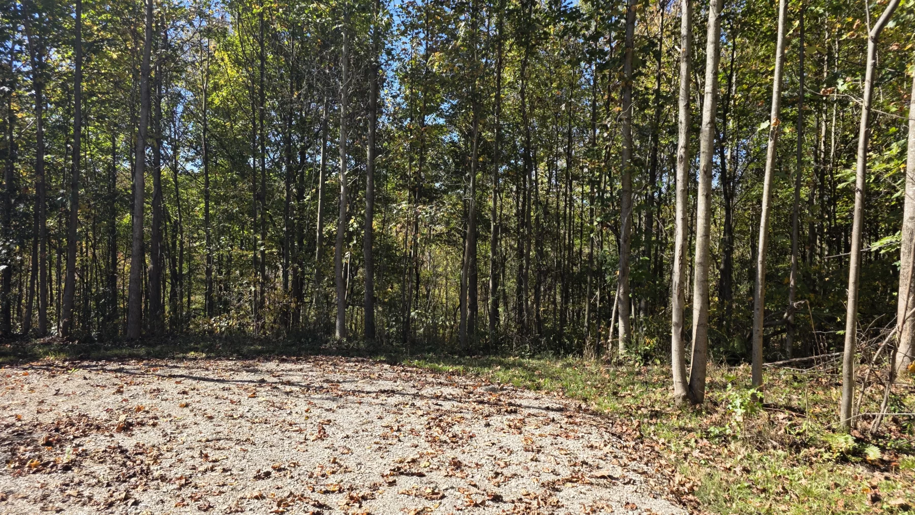 Lot 7 at Clover Hill property photo 10