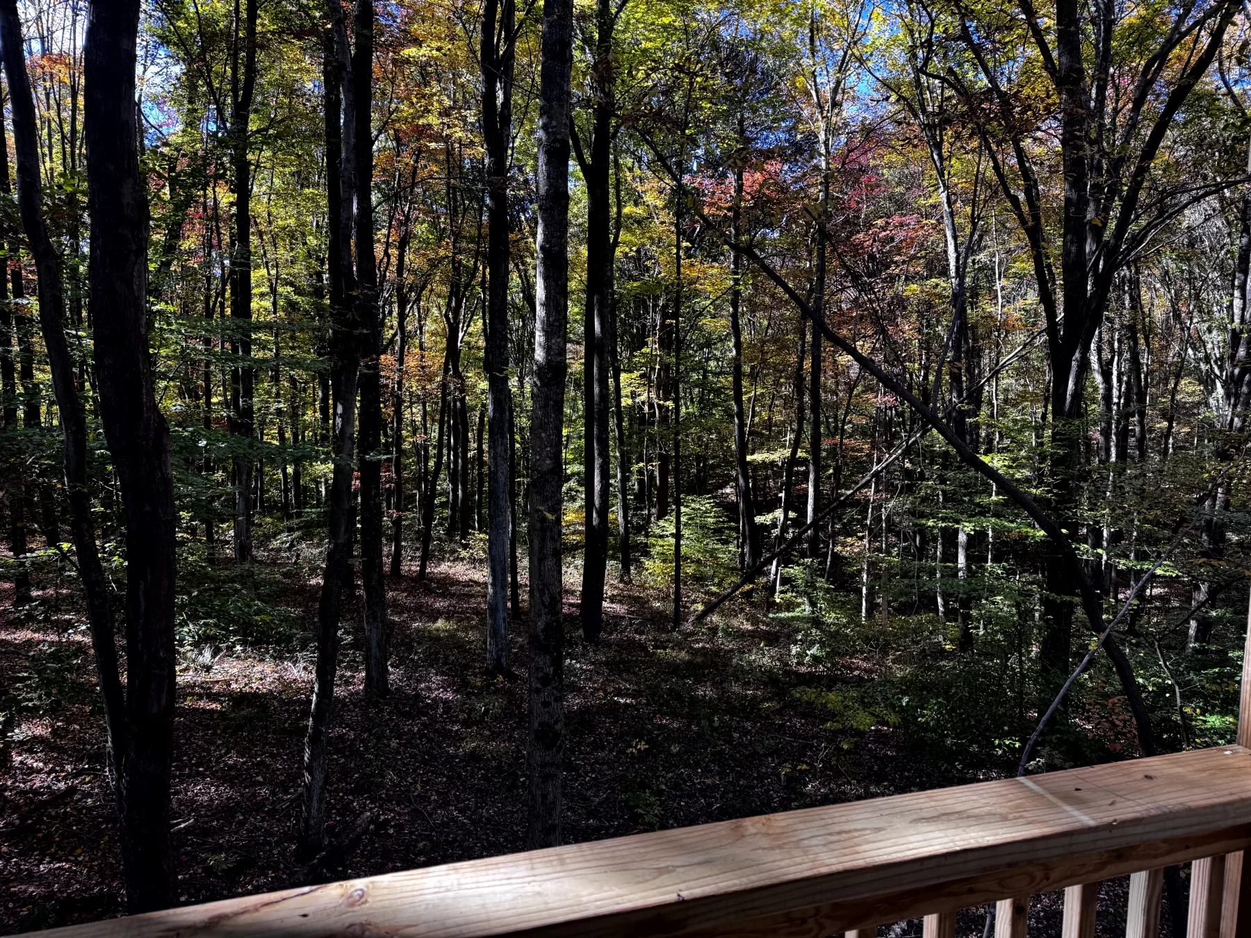 The Cabin at Poplar Ridge – Tract 13 property photo 6
