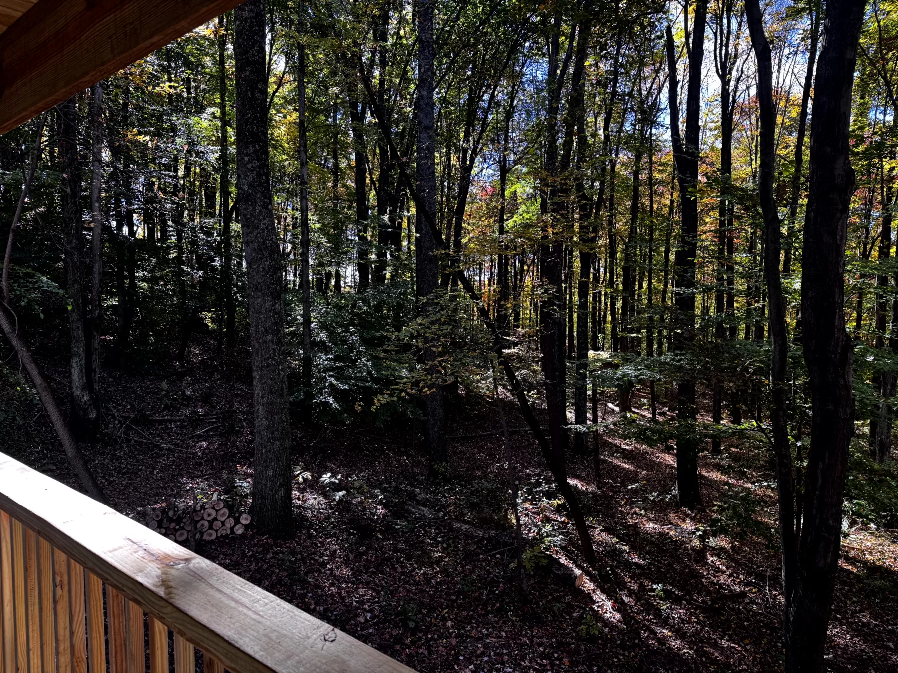 The Cabin at Poplar Ridge – Tract 13 property photo 7