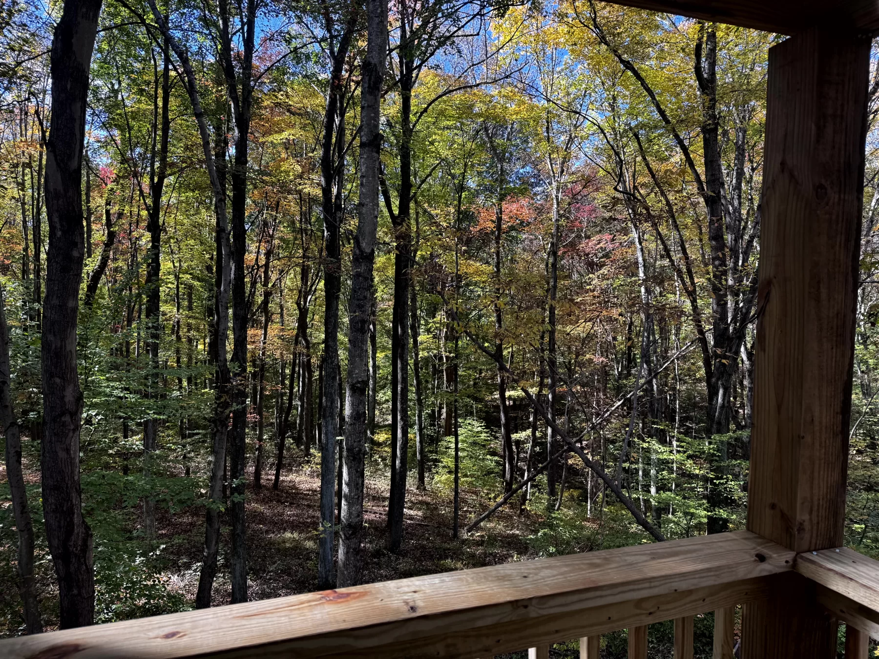 The Cabin at Poplar Ridge – Tract 13 property photo 8
