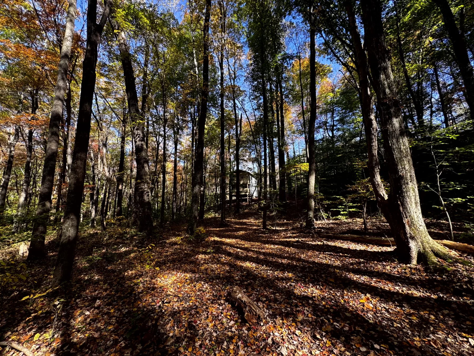 The Cabin at Poplar Ridge – Tract 13 property photo 10
