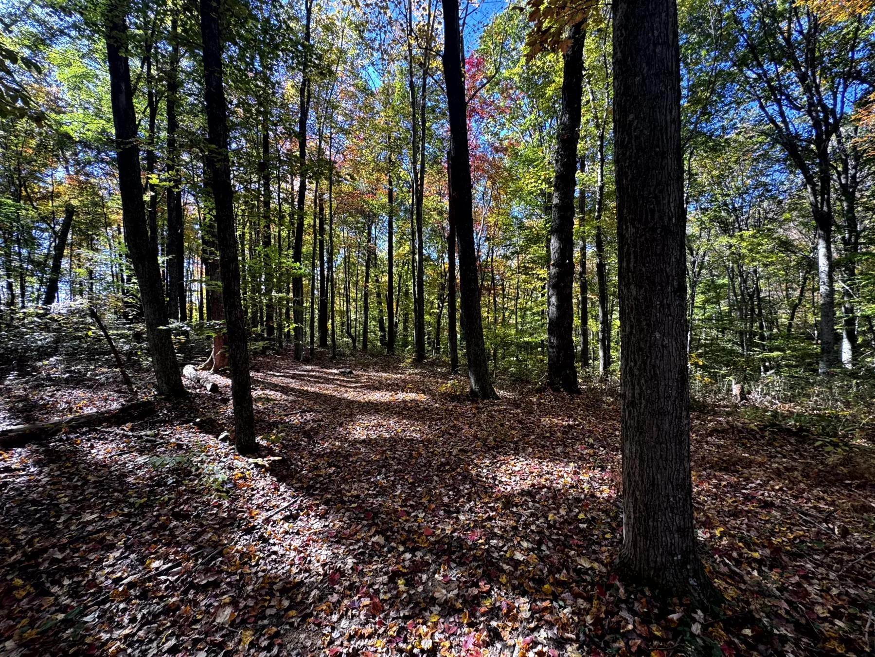 The Cabin at Poplar Ridge – Tract 13 property photo 11