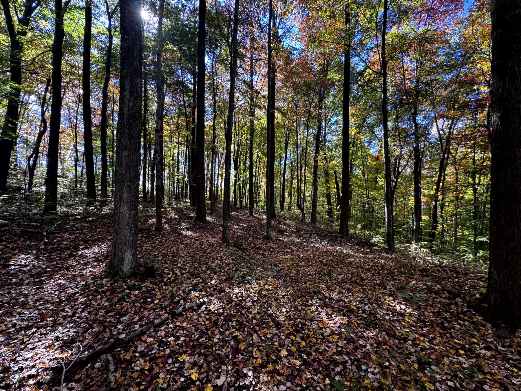 The Cabin at Poplar Ridge – Tract 13 property photo 12