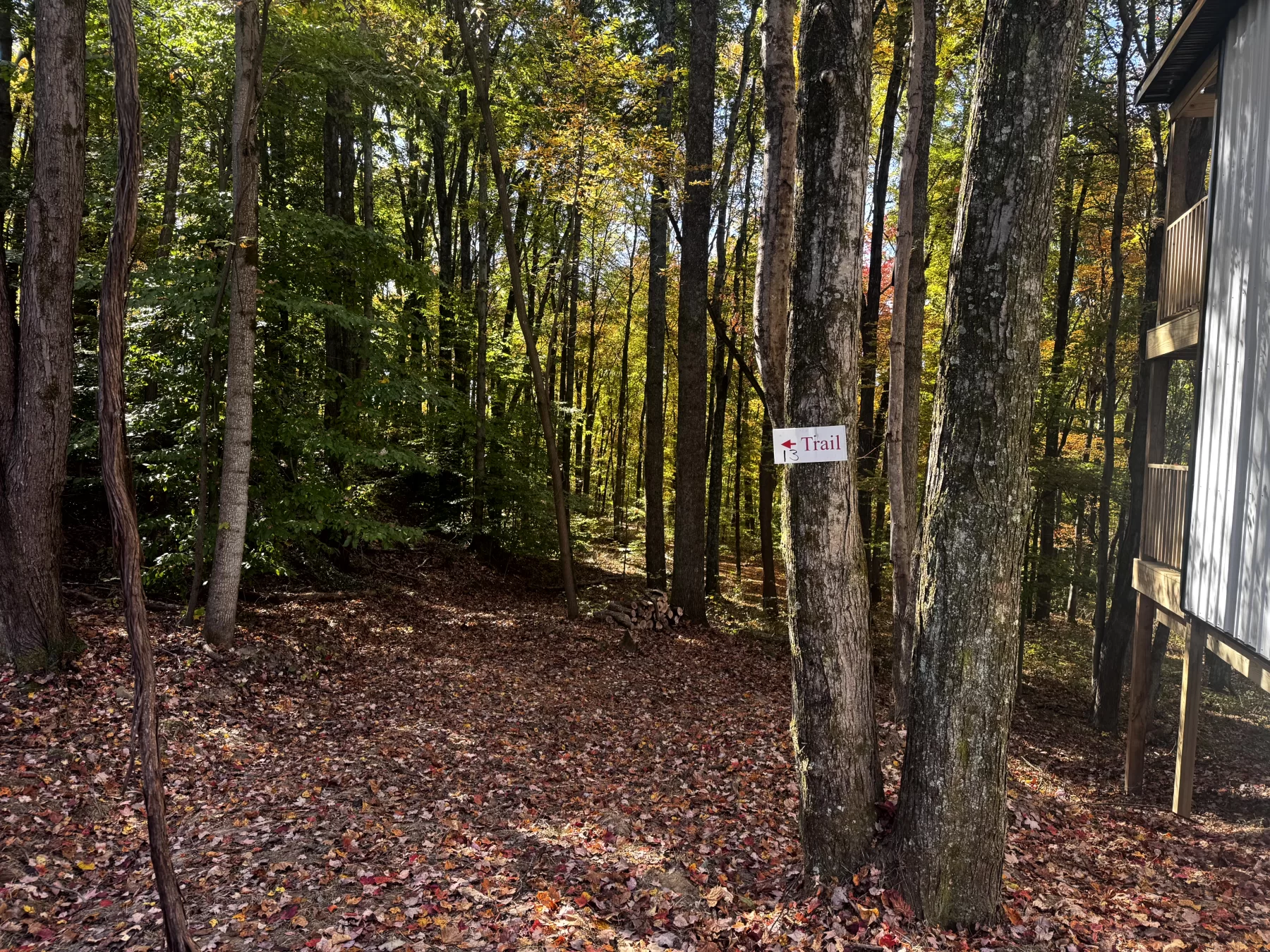 The Cabin at Poplar Ridge – Tract 13 property photo 16
